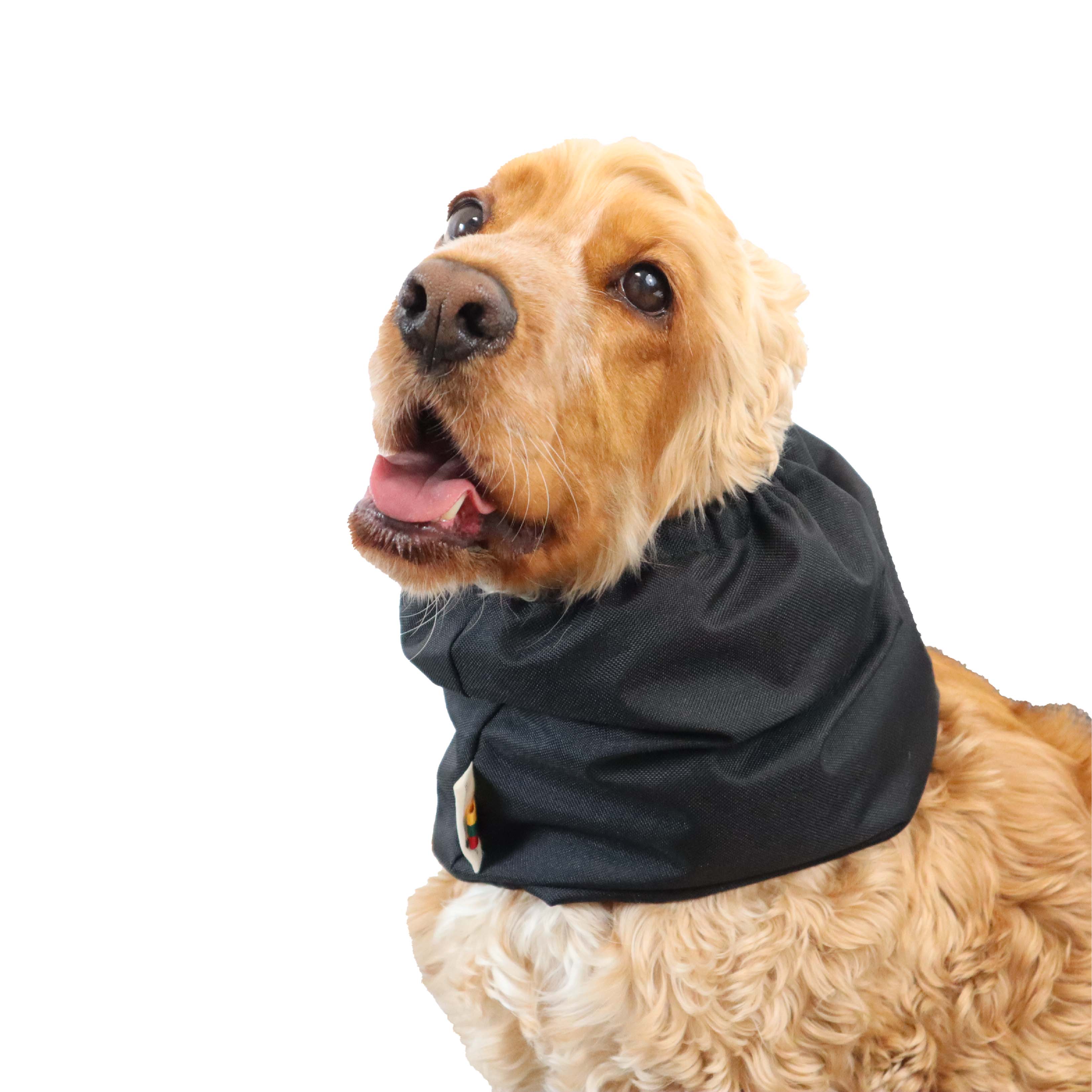 Black Snood for dog for feeding by Distinguish Me 