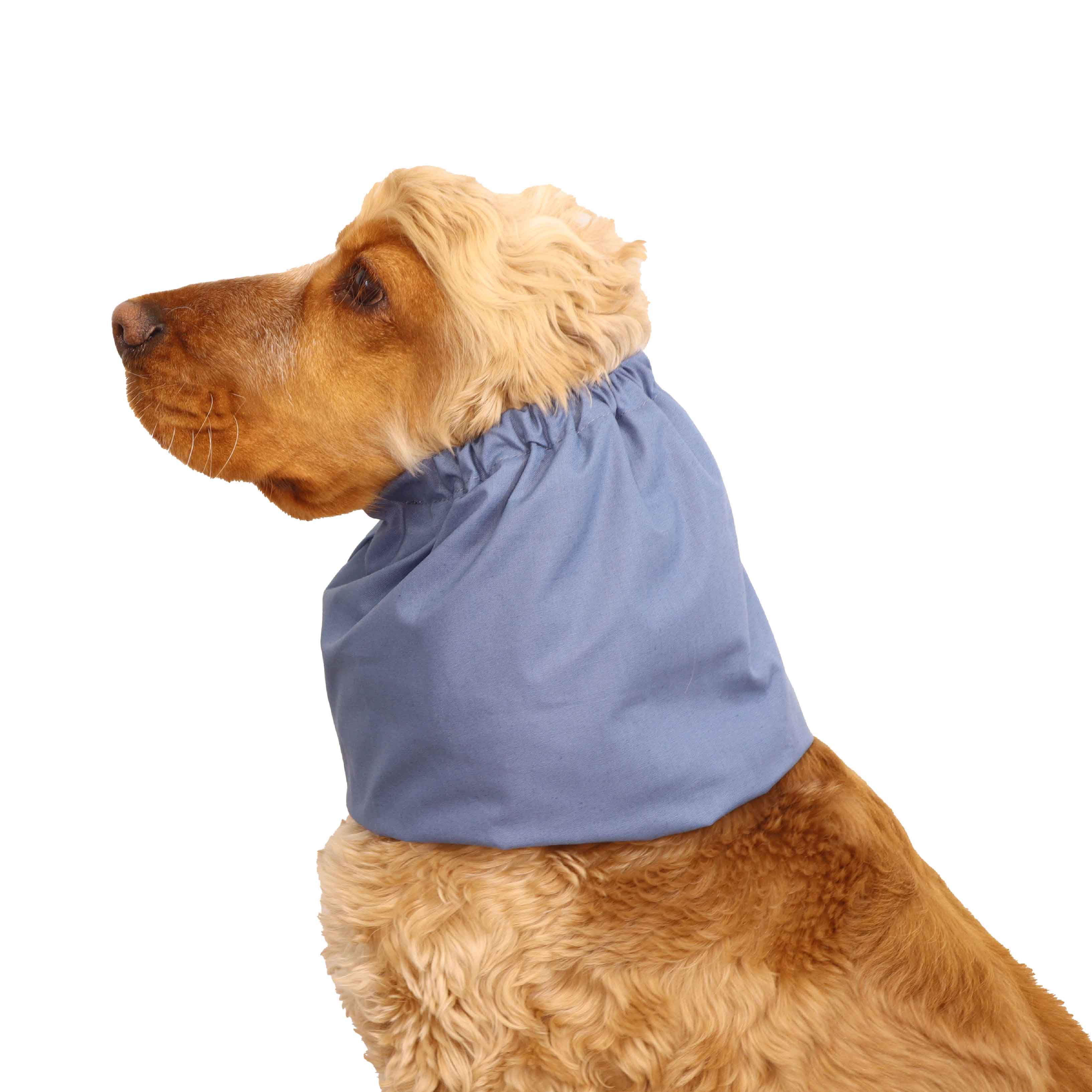 Jeans Blue Cotton Dog Snood Distinguish Me