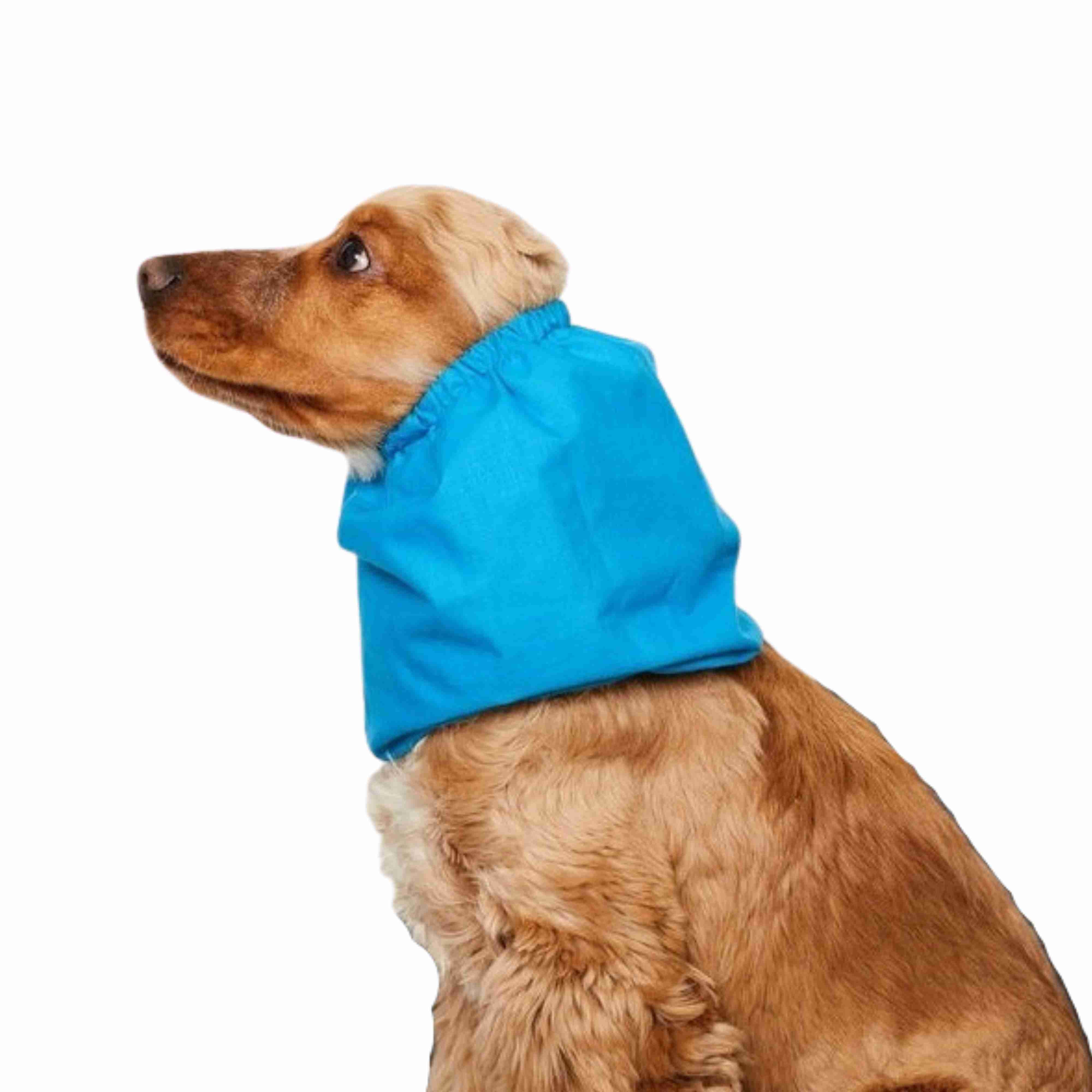 Blue Snood For Dog Distinguish Me