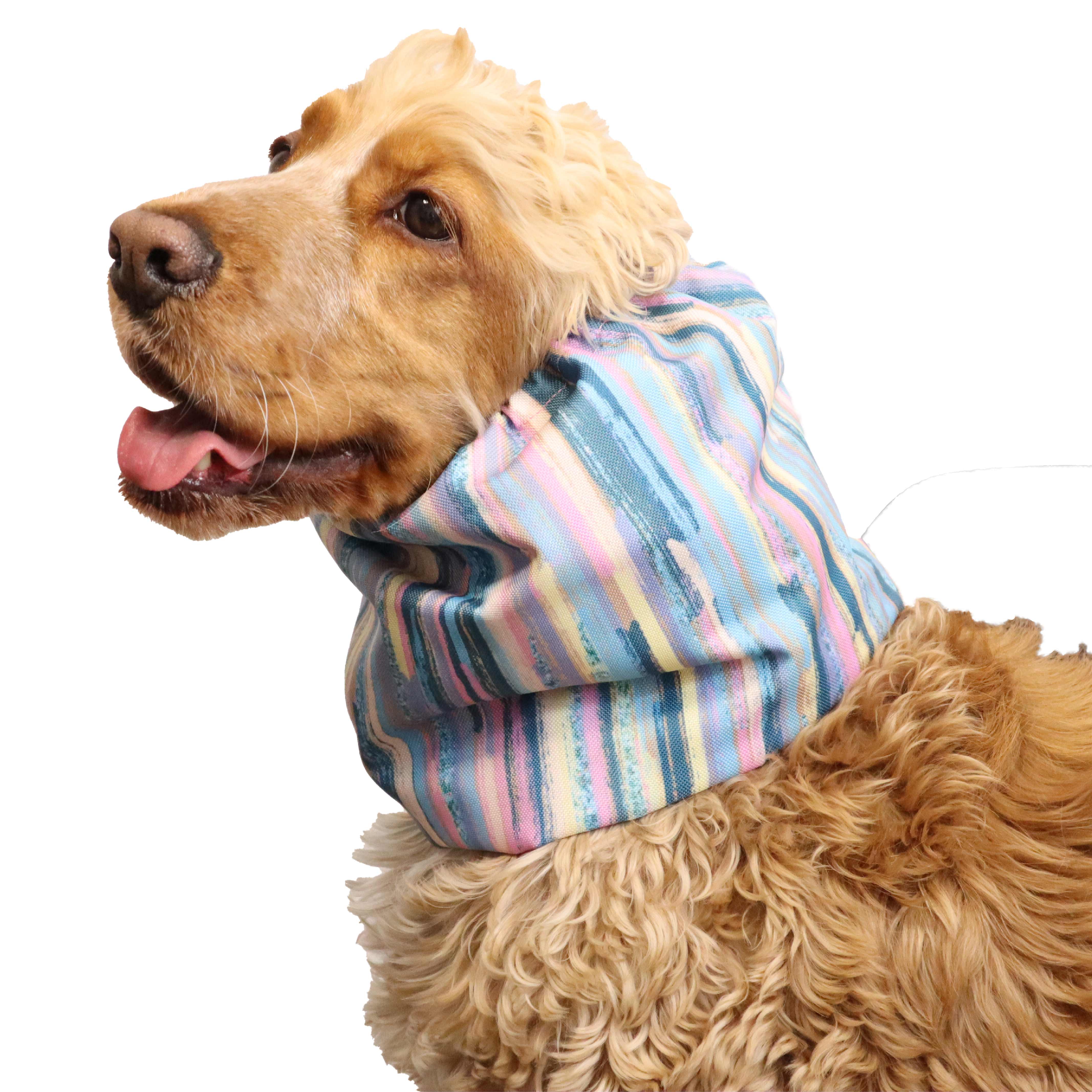 Colorful Dog Snood Distinguish Me