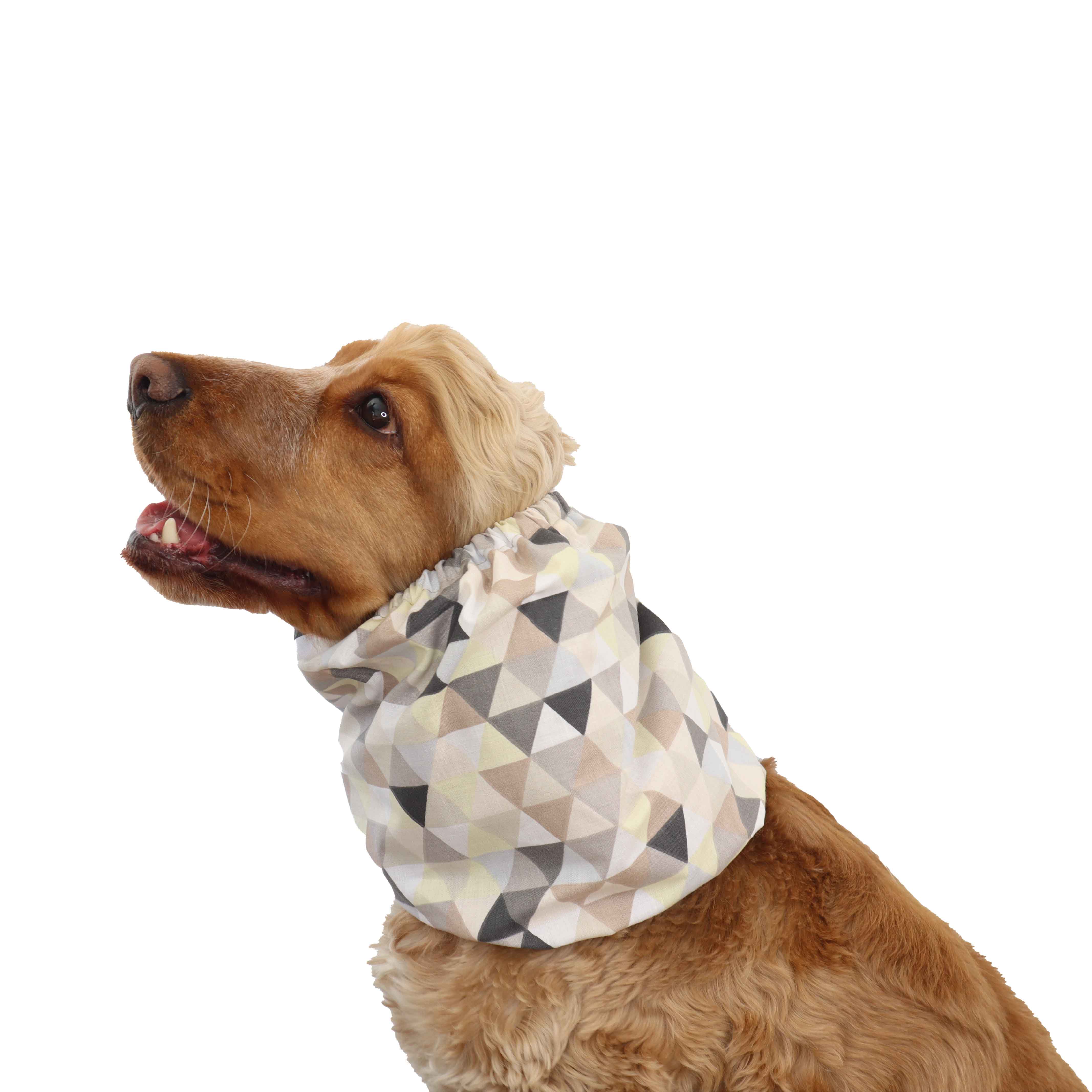 Cotton Dog Snood | Pastel Triangle