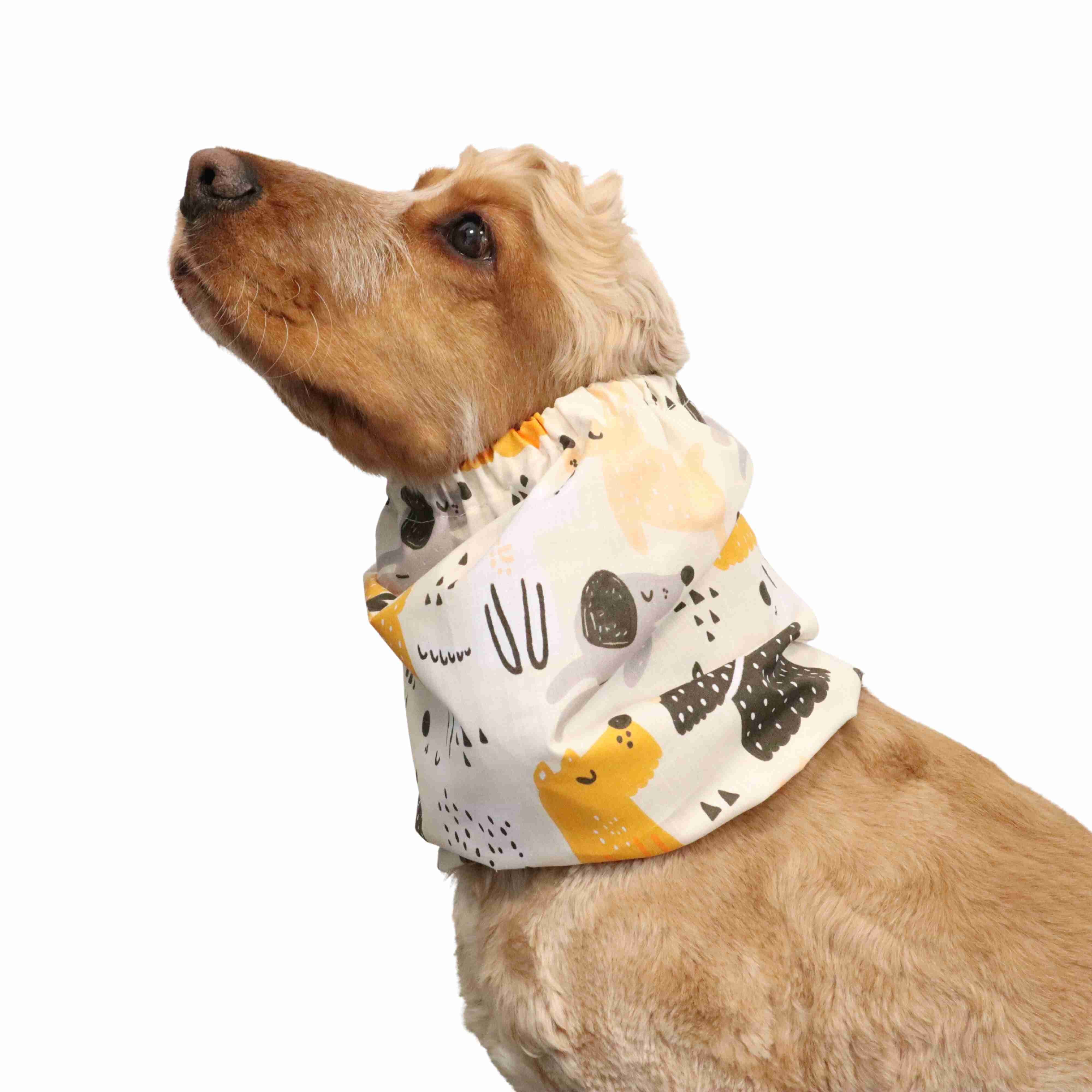 Cotton Snood For Dog Distinguish Me