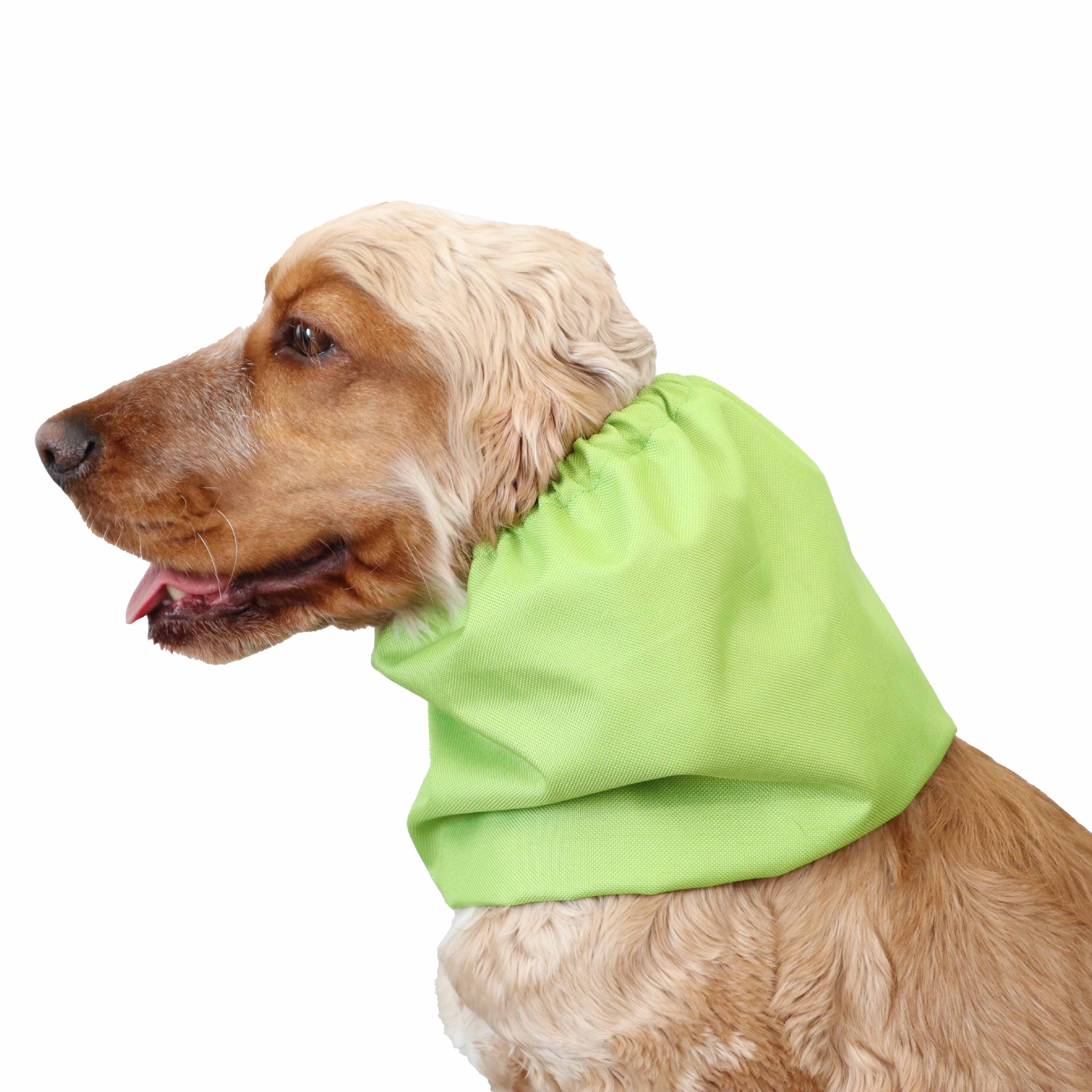 Distinguish Dog Snood Apple Green Distinguish Me