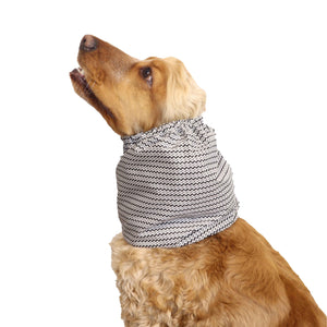 Cotton Snood For Dog Distinguish Me