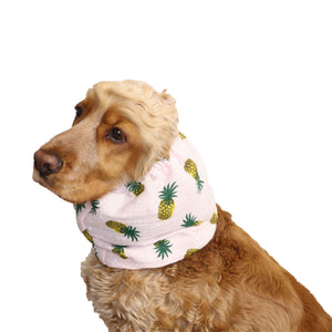 Dog Snood Pineapple by Distinguish Me