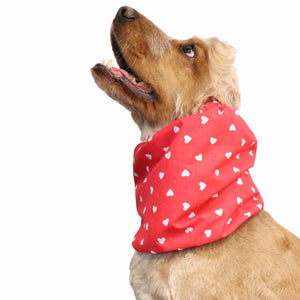 Dog With Cute Dog ear cover by Distinguish Me