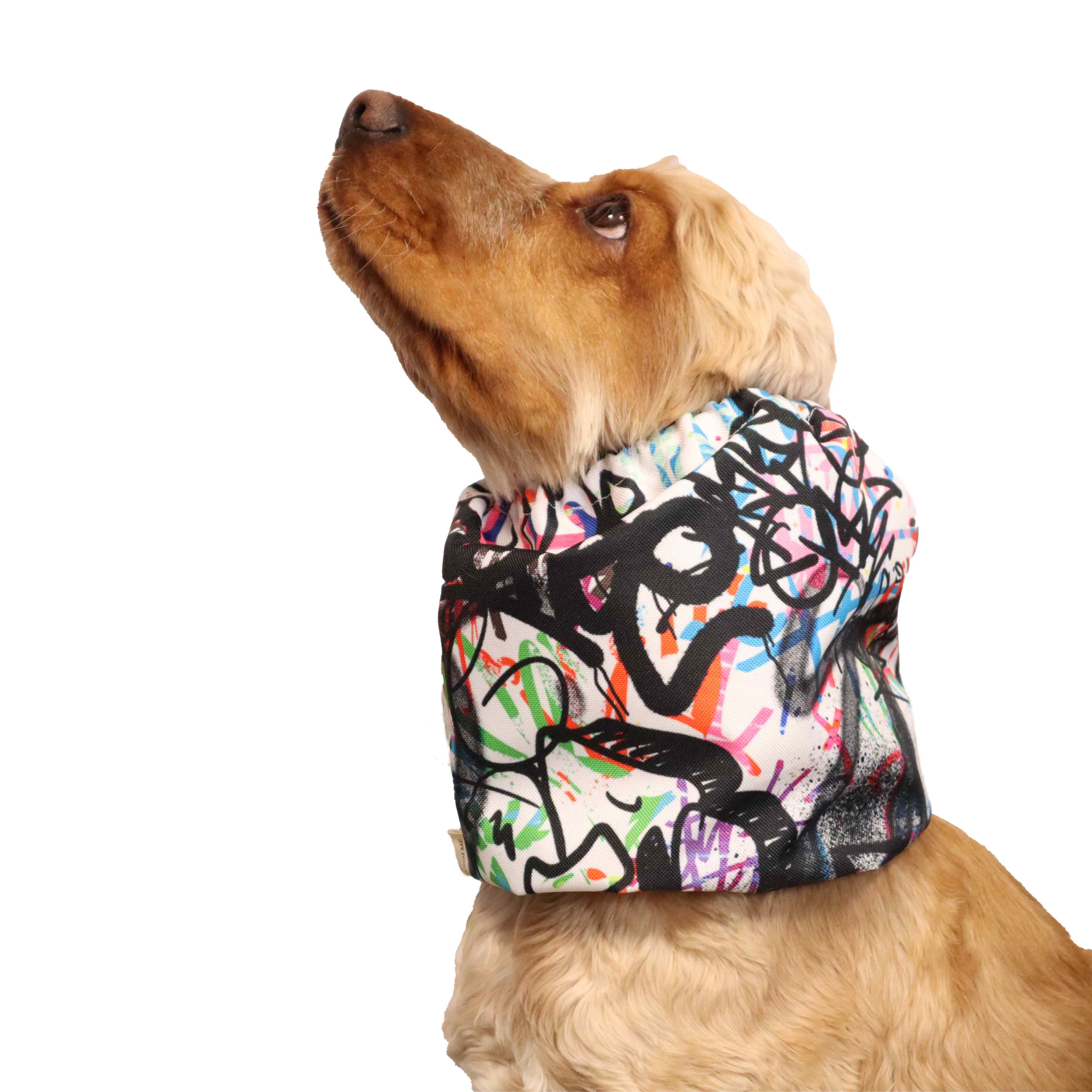 Dog Snood Graffiti by Distinguish Me 