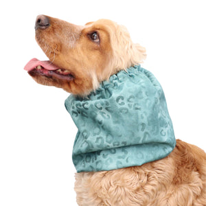 Dog Snood Mint Cheetah by Distinguish Me