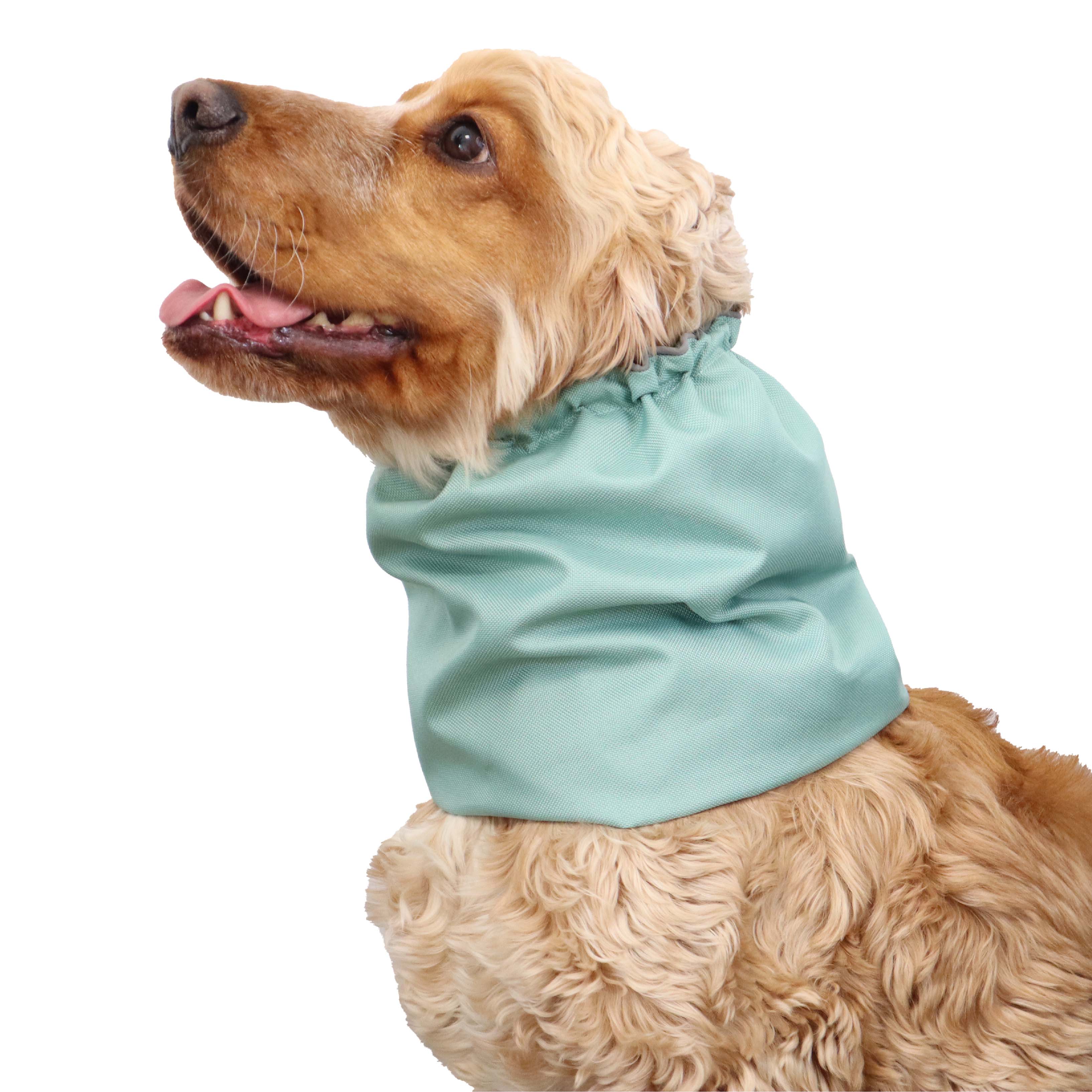 Green Mint Snood for dog by Distinguish Me