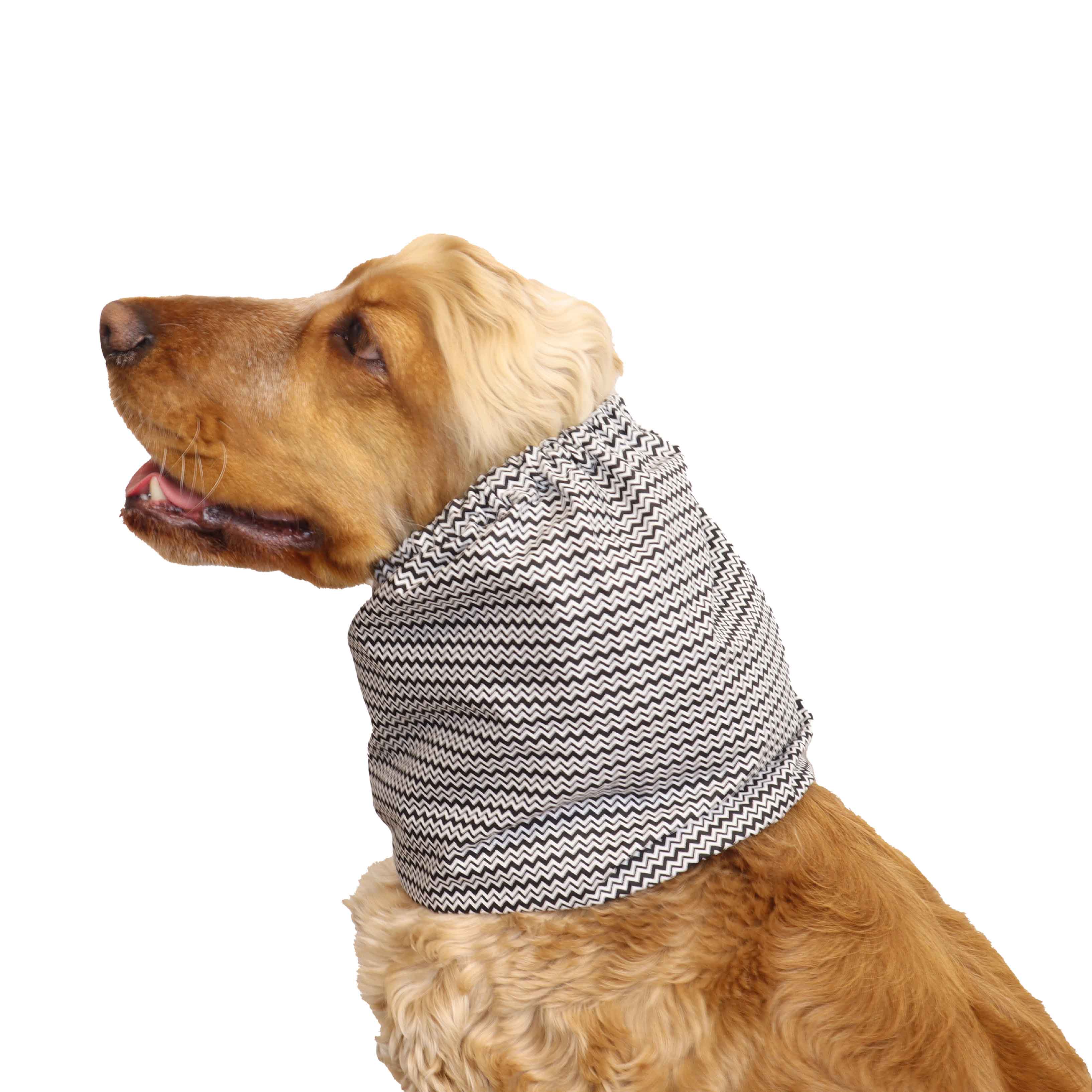 Distinguish Me Dog Snood With Zigzag 