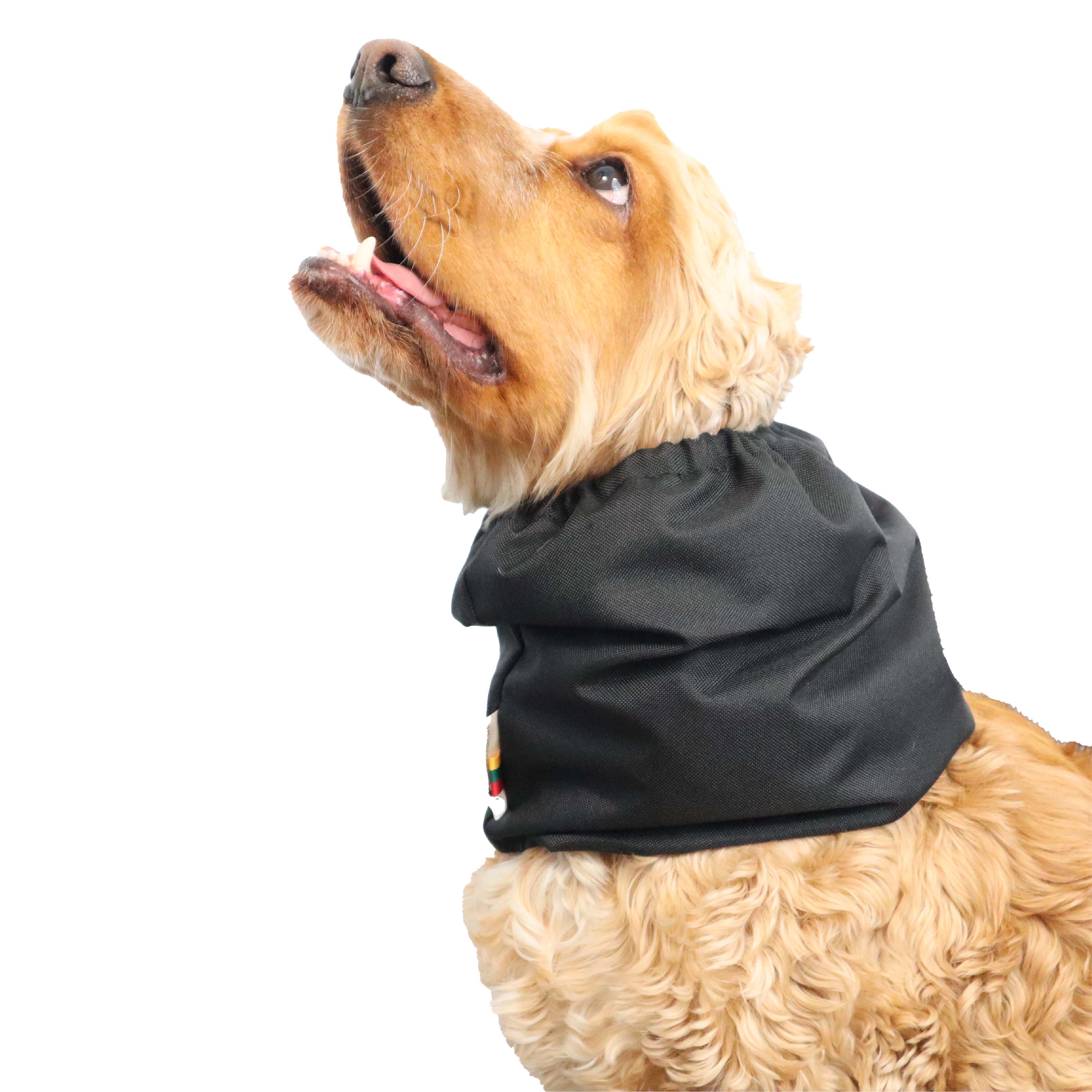 Waterproof snood for dog Black Distinguish Me