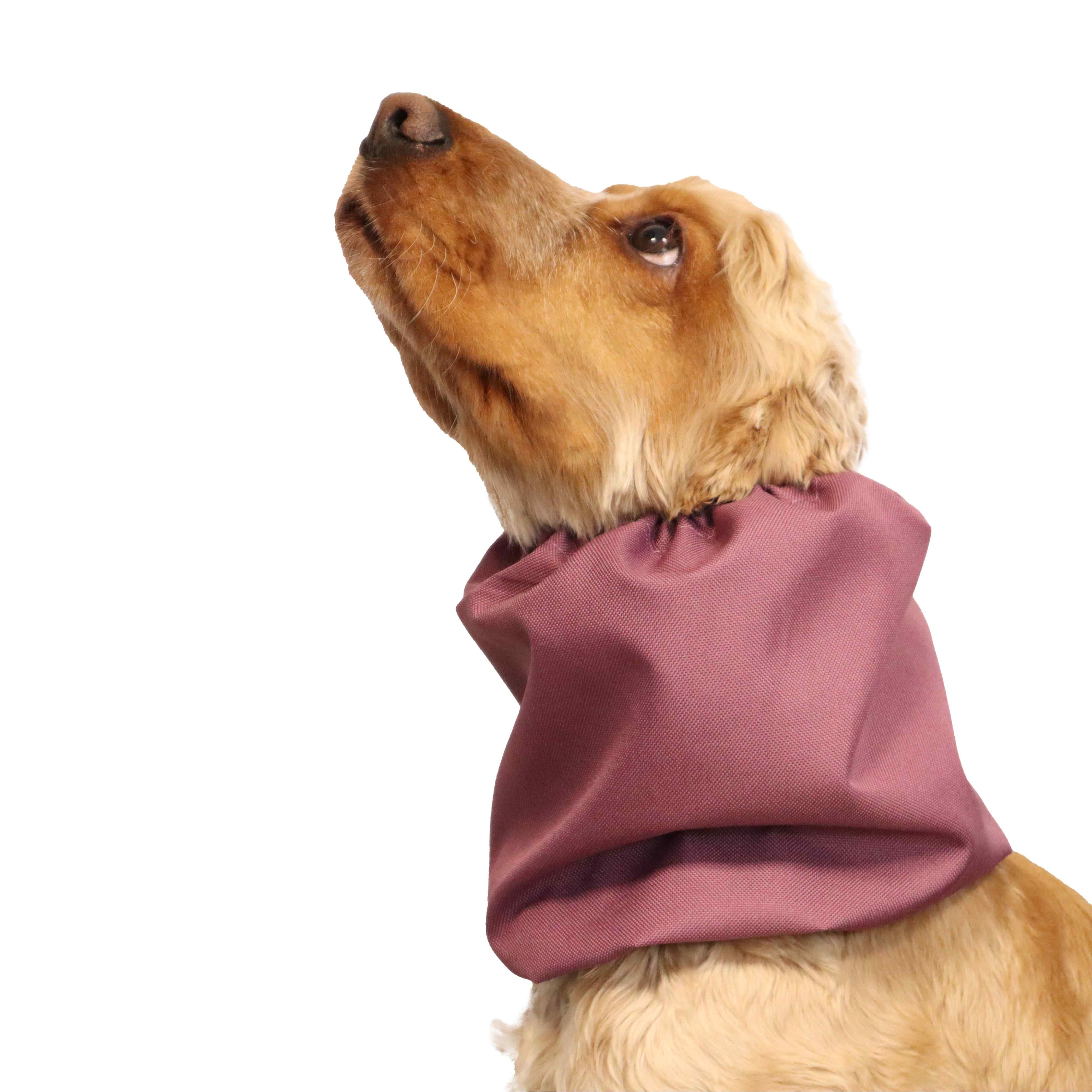 Dog Ear Cover Burgundy Distinguish Me