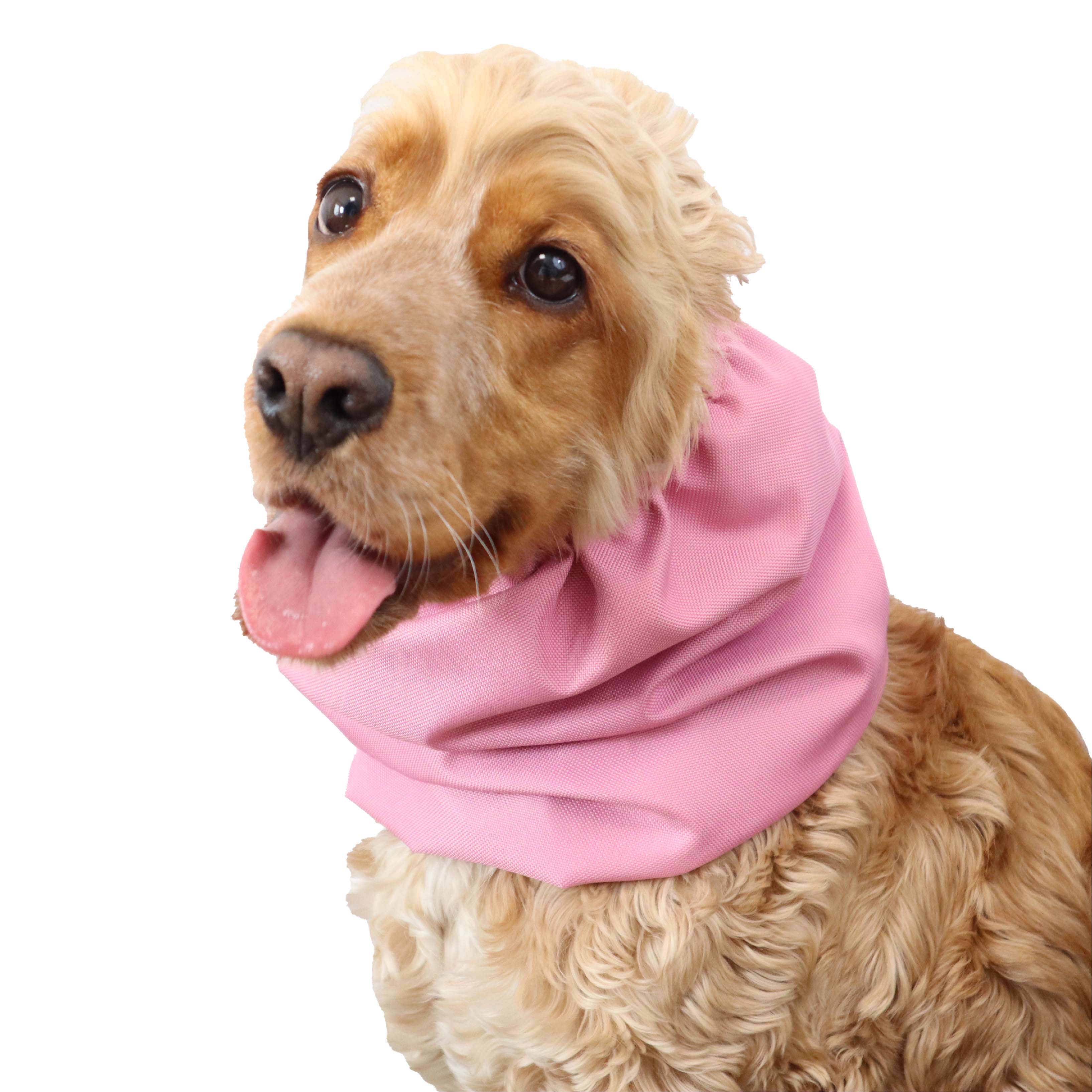 Dog Ear snood Pink Distinguish Me 