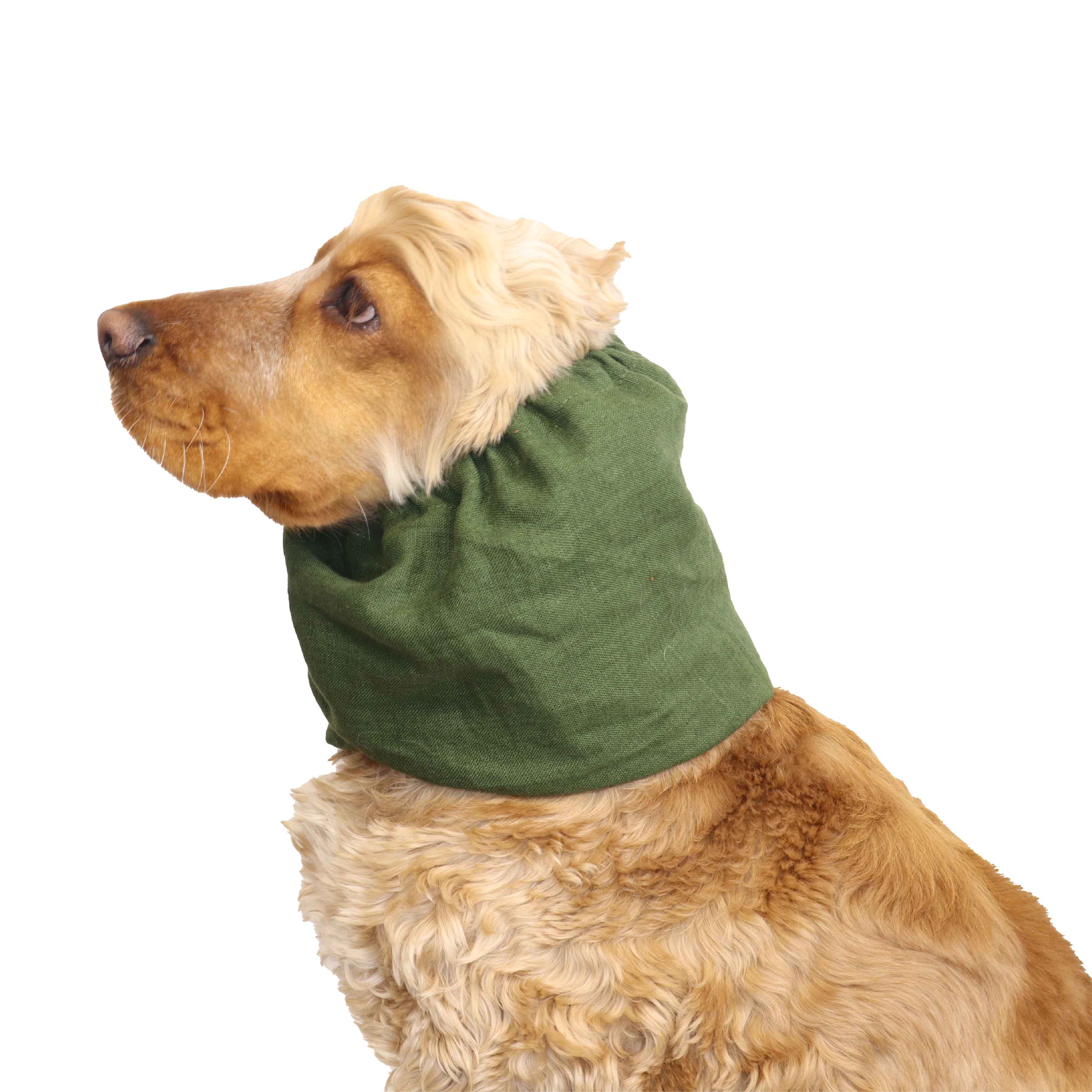 Forest Green Dog Snood By Distinguish Me