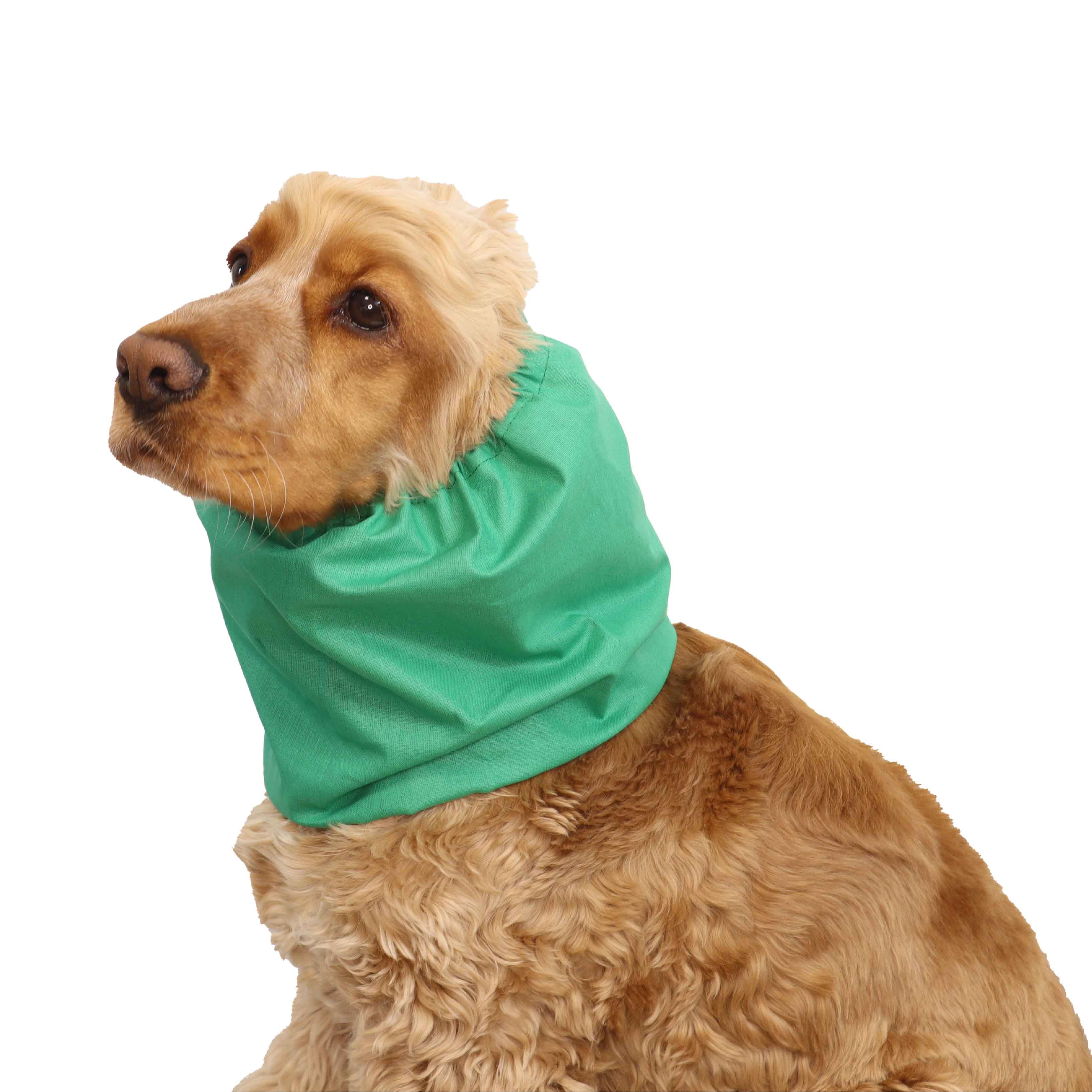 Green Cotton Dog Snood Distinguish Me