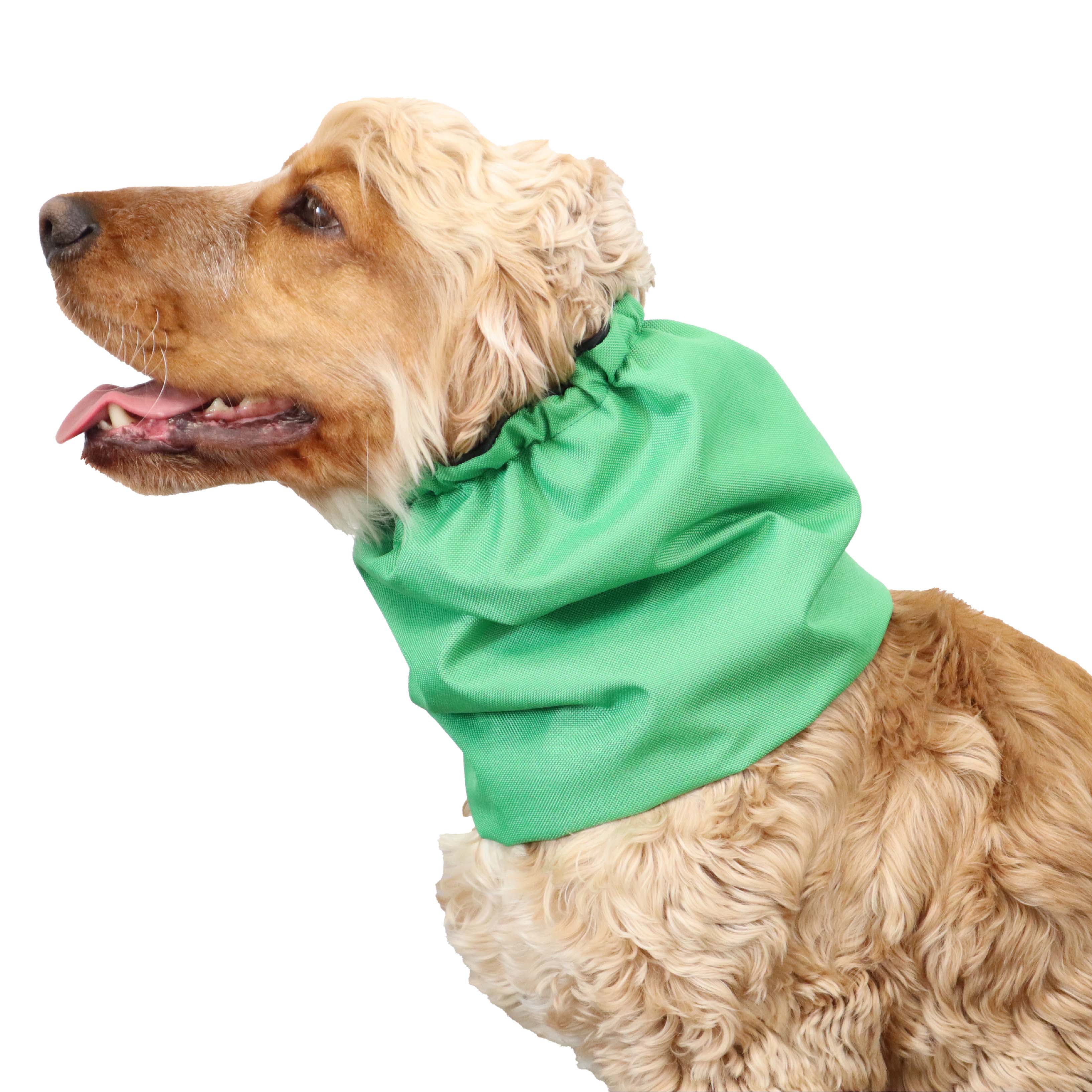 Green Snood for Dog by Distinguish Me