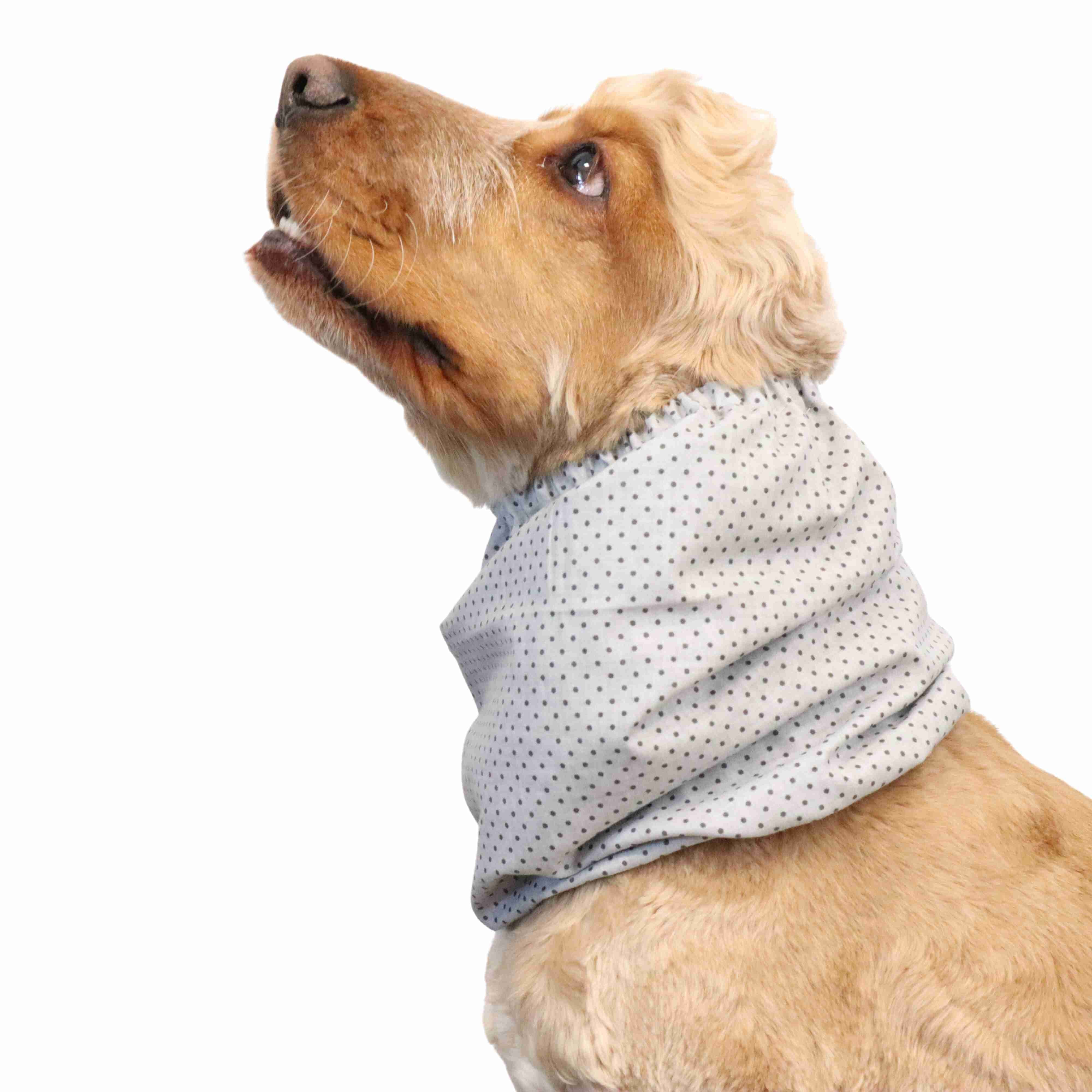 Snood For Dog Grey Distinguish Me