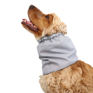 Best snood for dog light grey by Distinguish Me