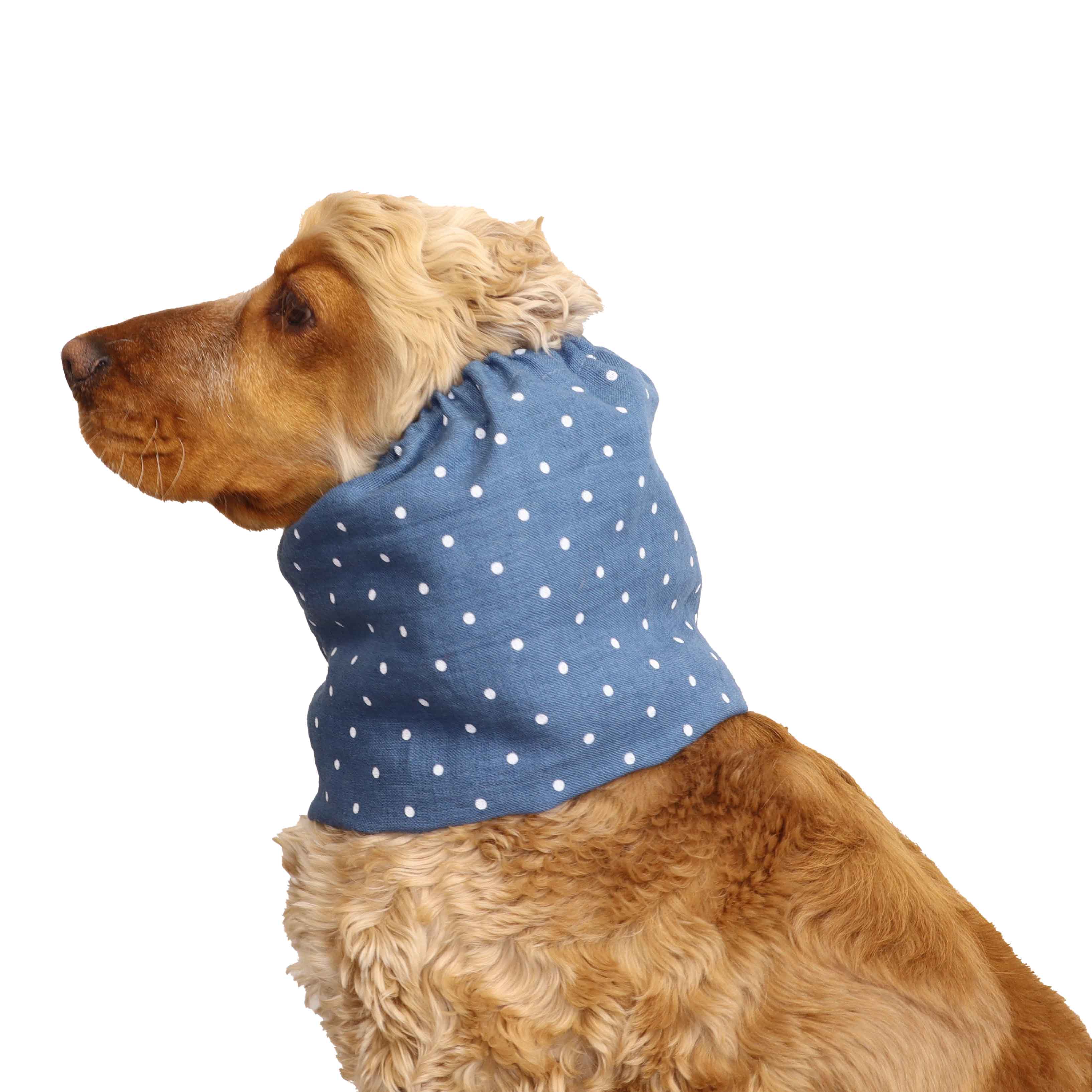 Summer Dog Snood For Spaniel by Distinguish Me