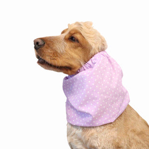 Dog Snood Distinguish Me