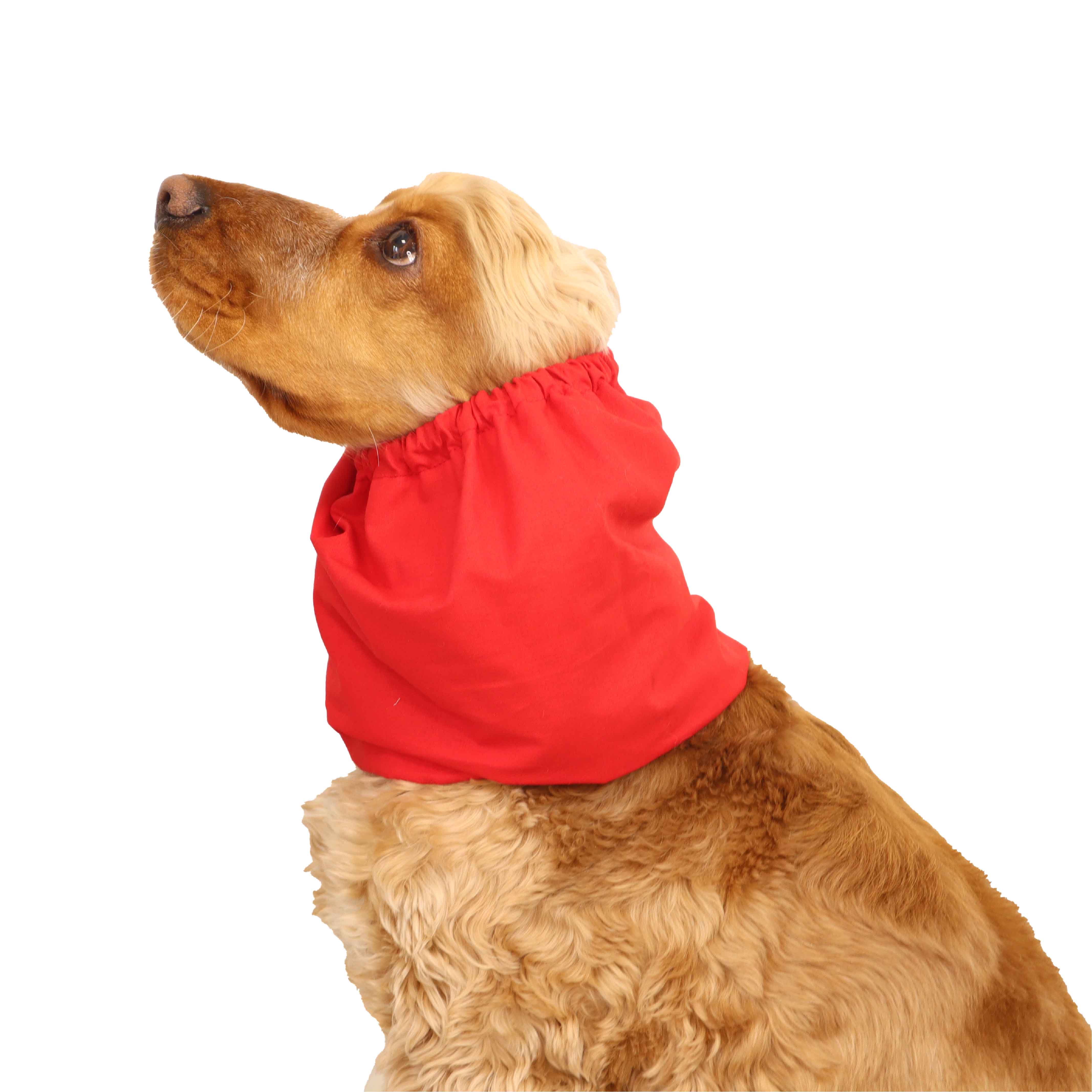 Dog Snood Distinguish Me