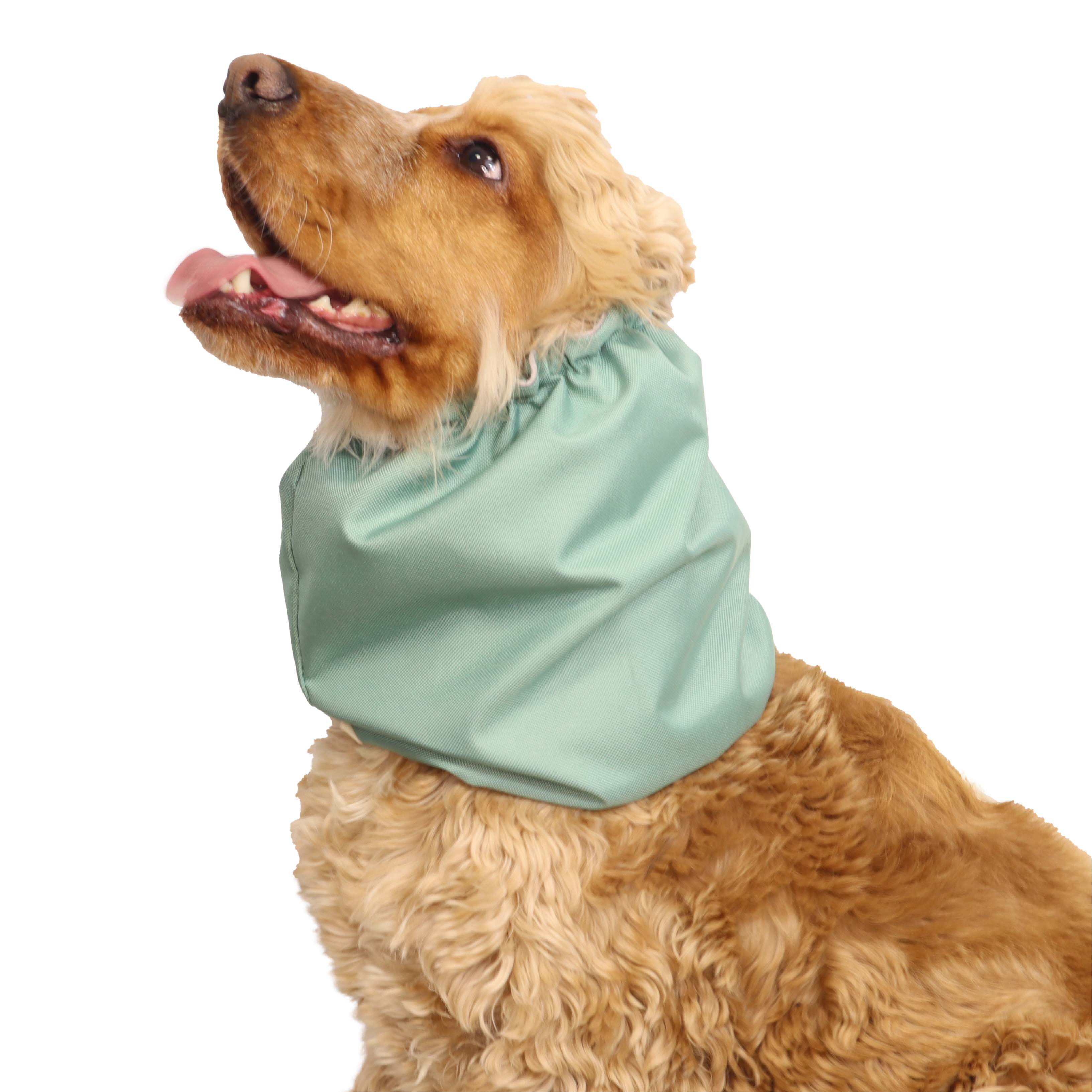 Mint Green Dog Snood by Distinguish Me