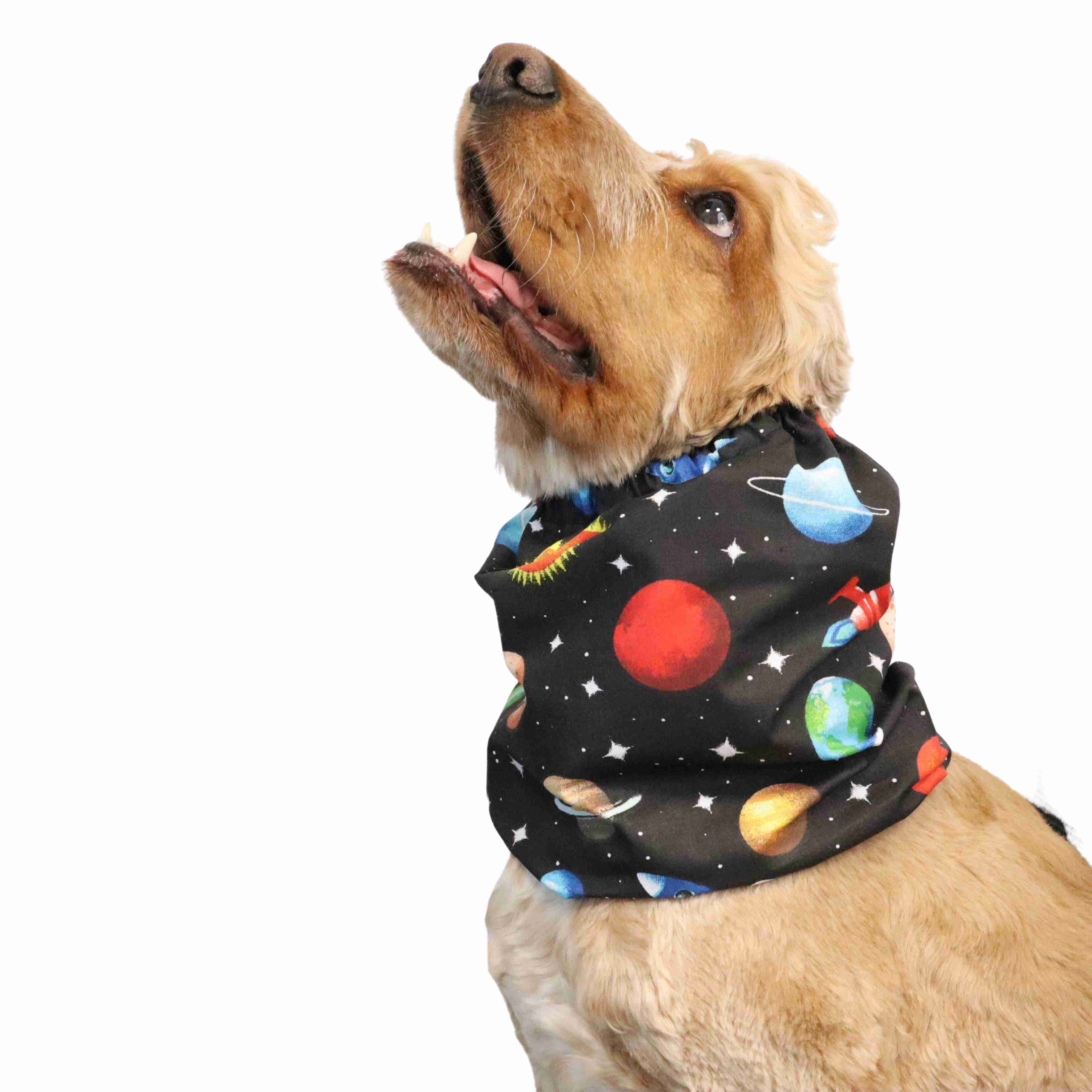 Snood For Dog Cosmo by Distinguish Me