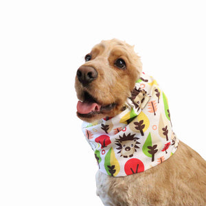 Cute Dog With Cotton Dog Snood by Distinguish Me