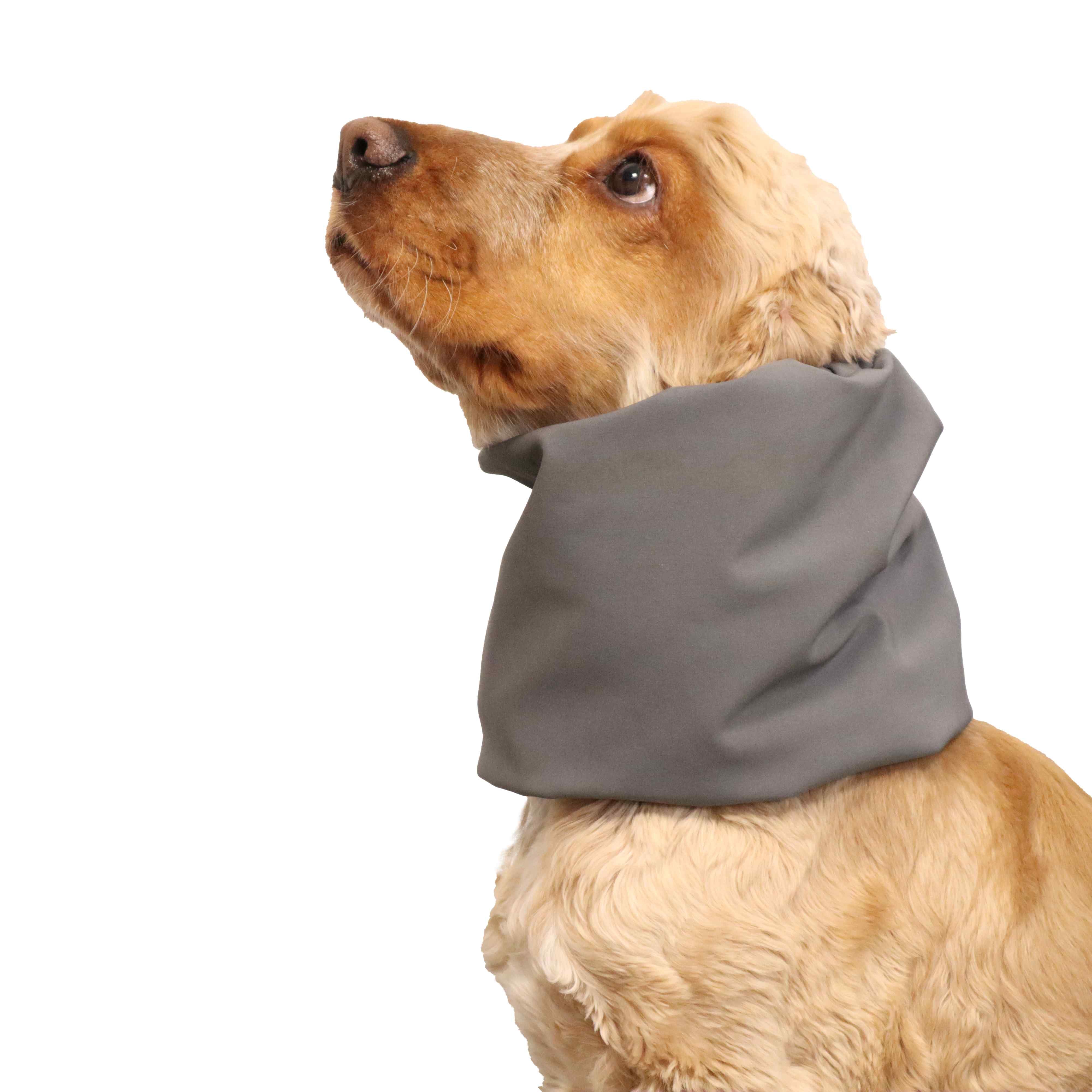 Soft warm dog snood by Distinguish Me 