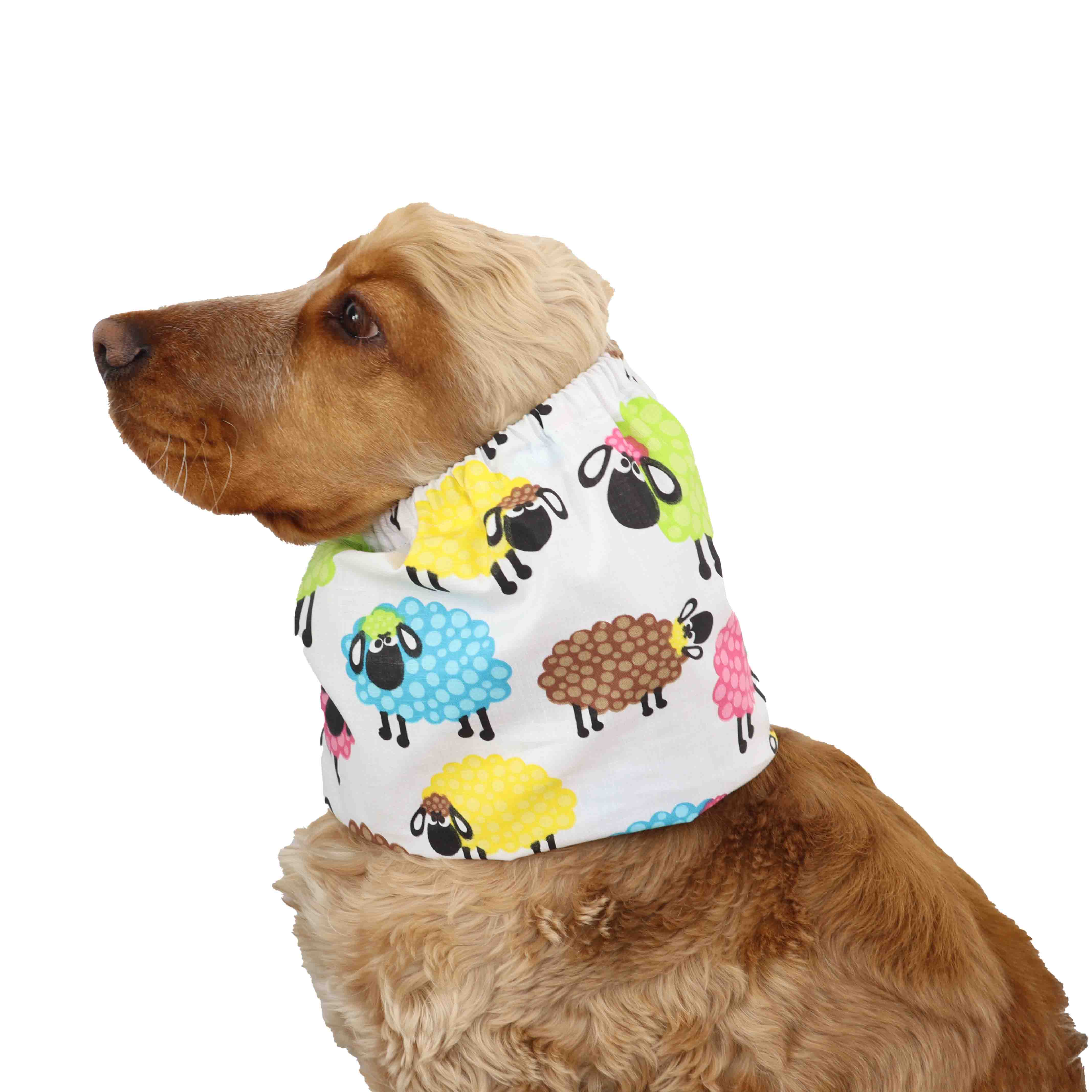 Summer Dog Snood by Distinguish Me