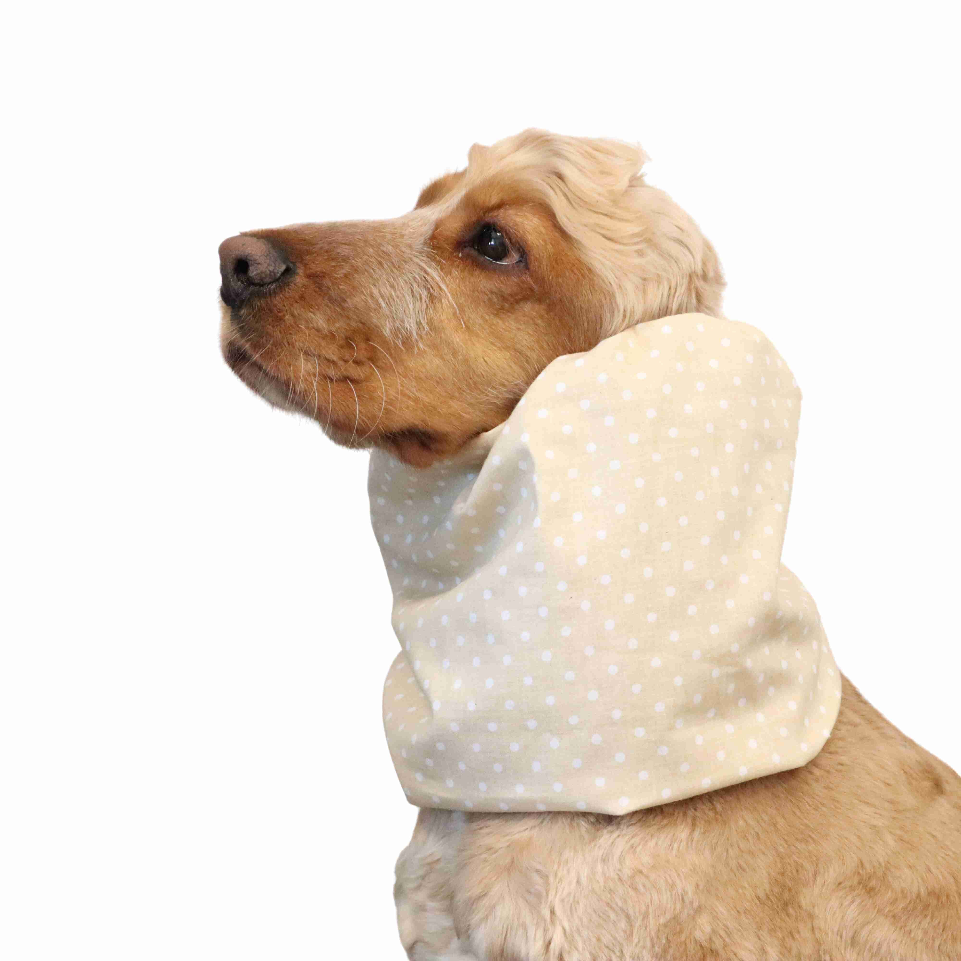 Vanilla cream Dog Snood by Distinguish Me