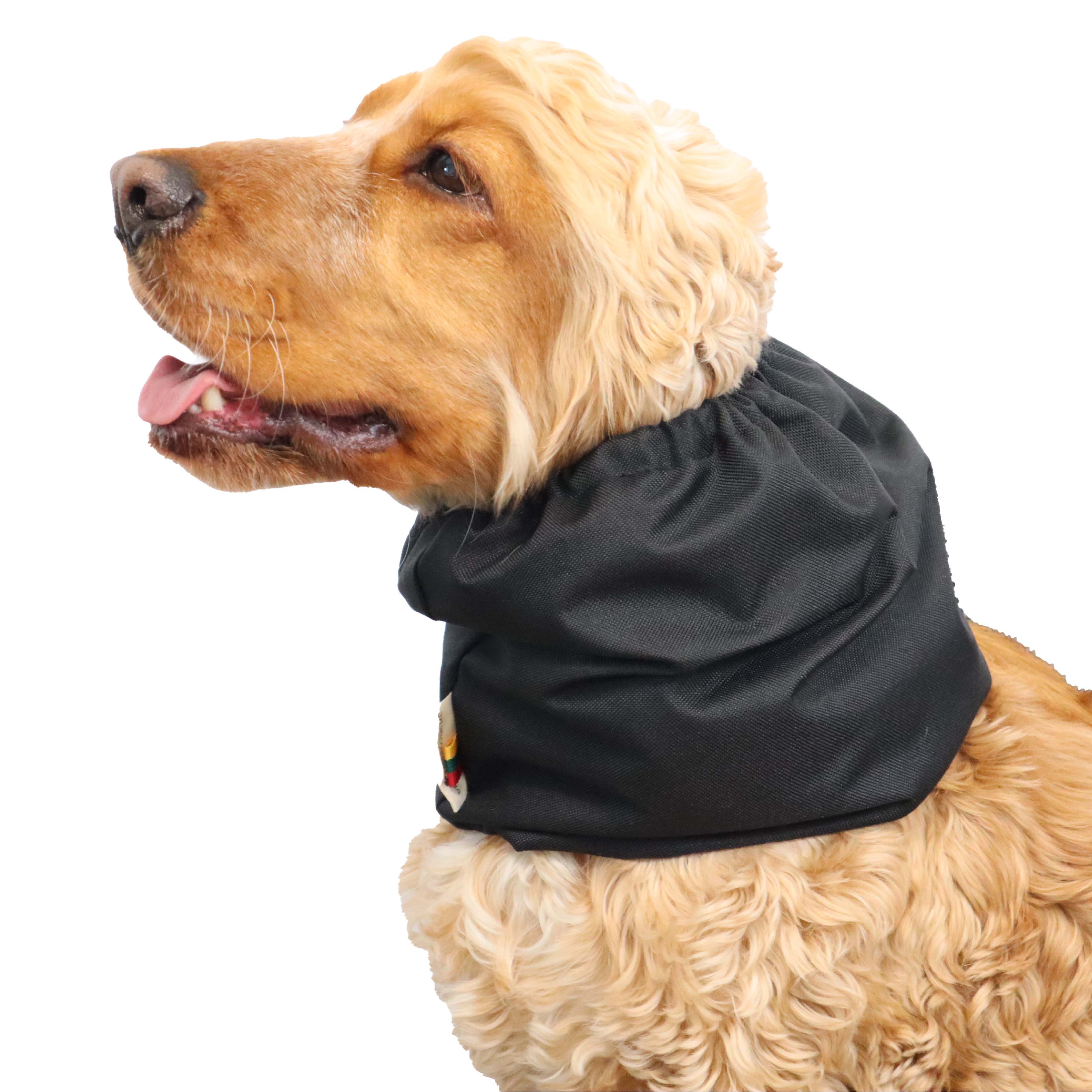 Waterproof Dog Snood Black Distinguish Me