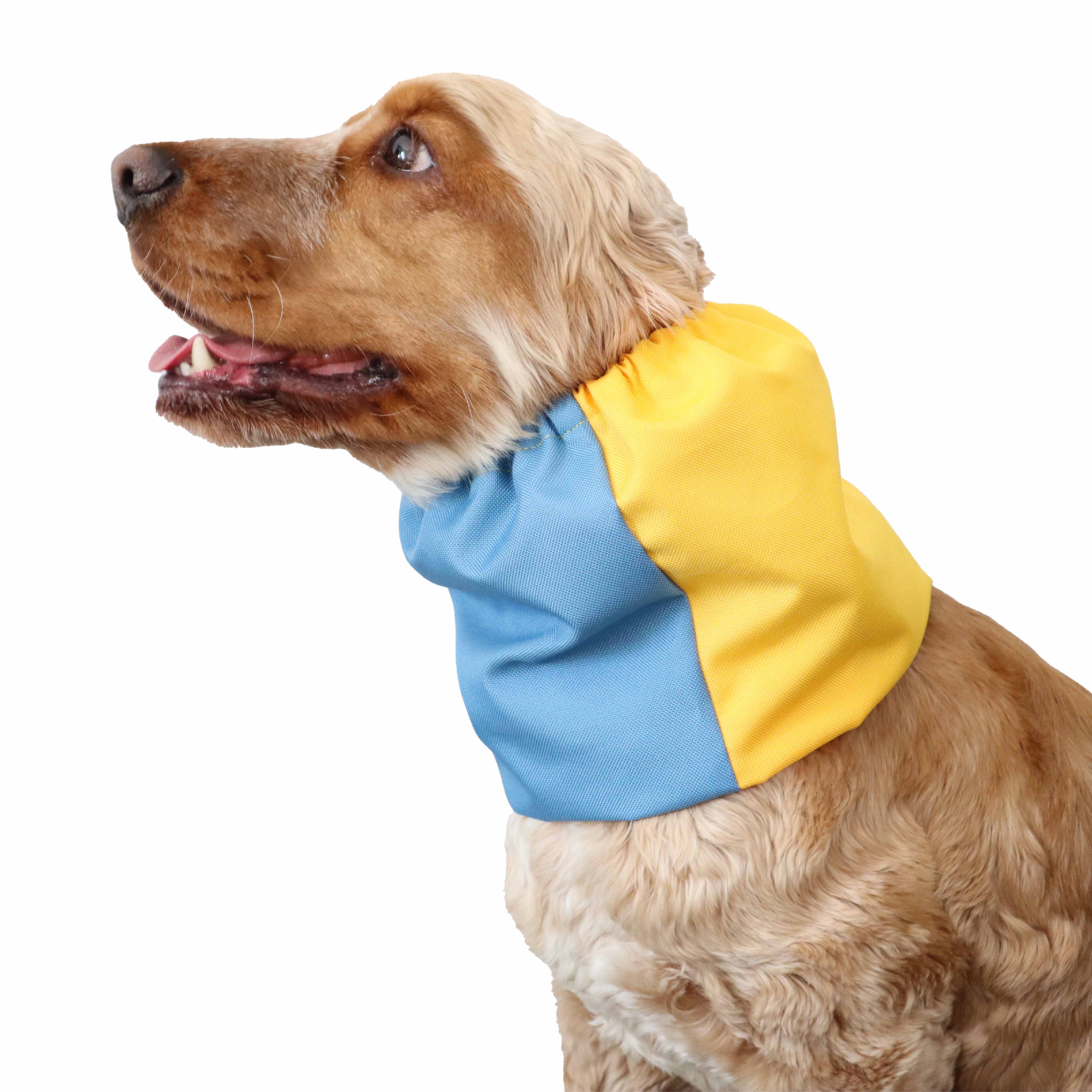 Waterproof Dog Snood Ukraine Distinguish Me