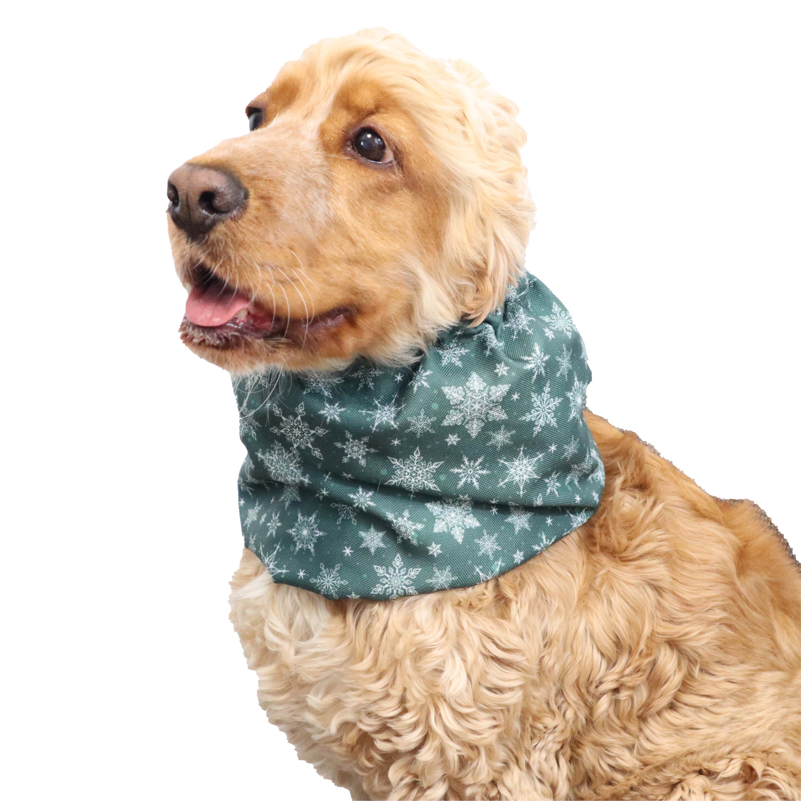 Bloodhound Snood for Christmas Distinguish Me