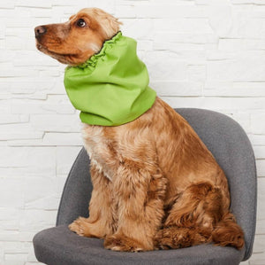 Water proof snood for dog Bright apple green Distinguish Me