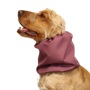 Waterproof Dog Snood Acid Burgundy Distinguish Me