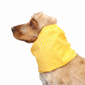 Dog With Snood By Distinguish Me