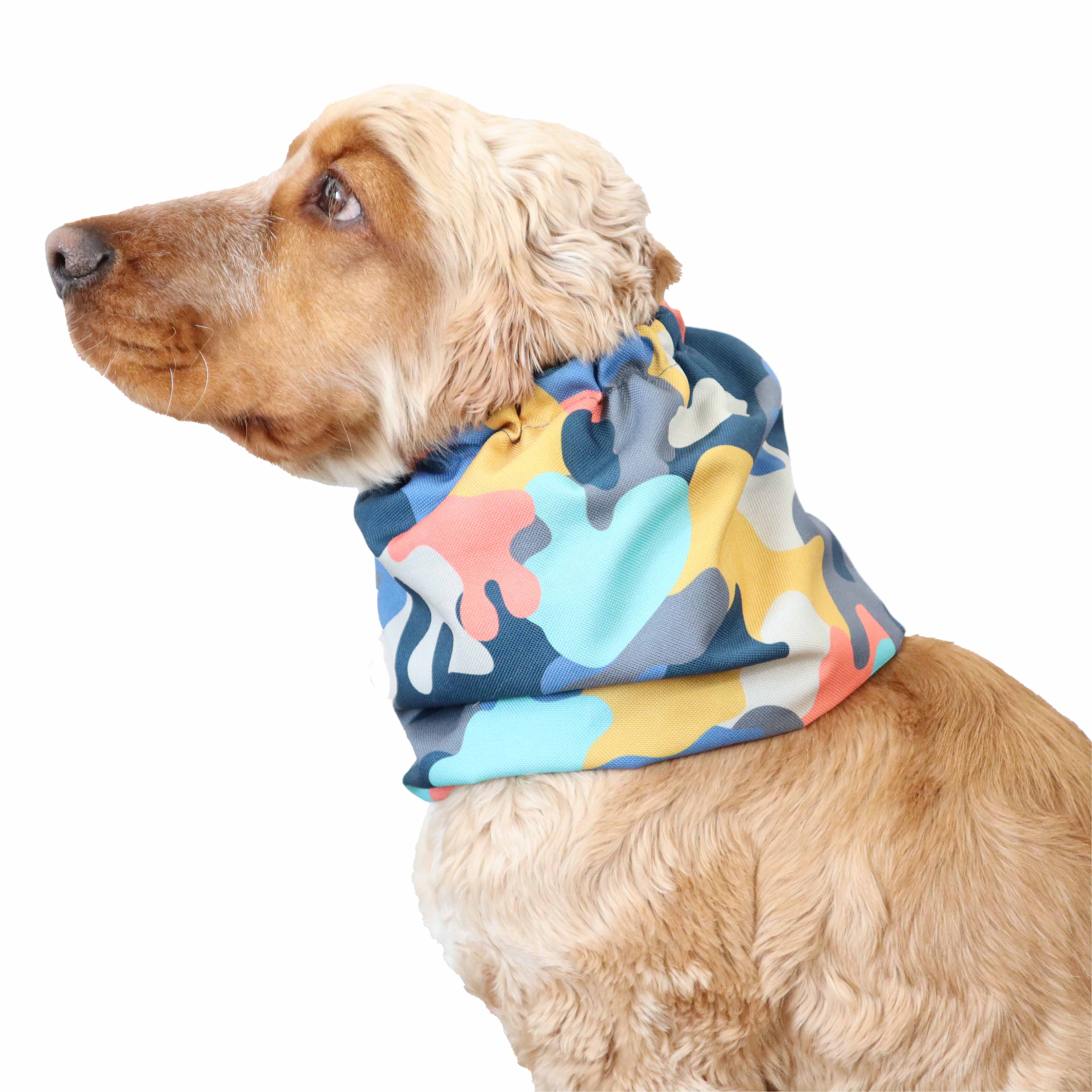 cavalier snood colourful Distinguish Me