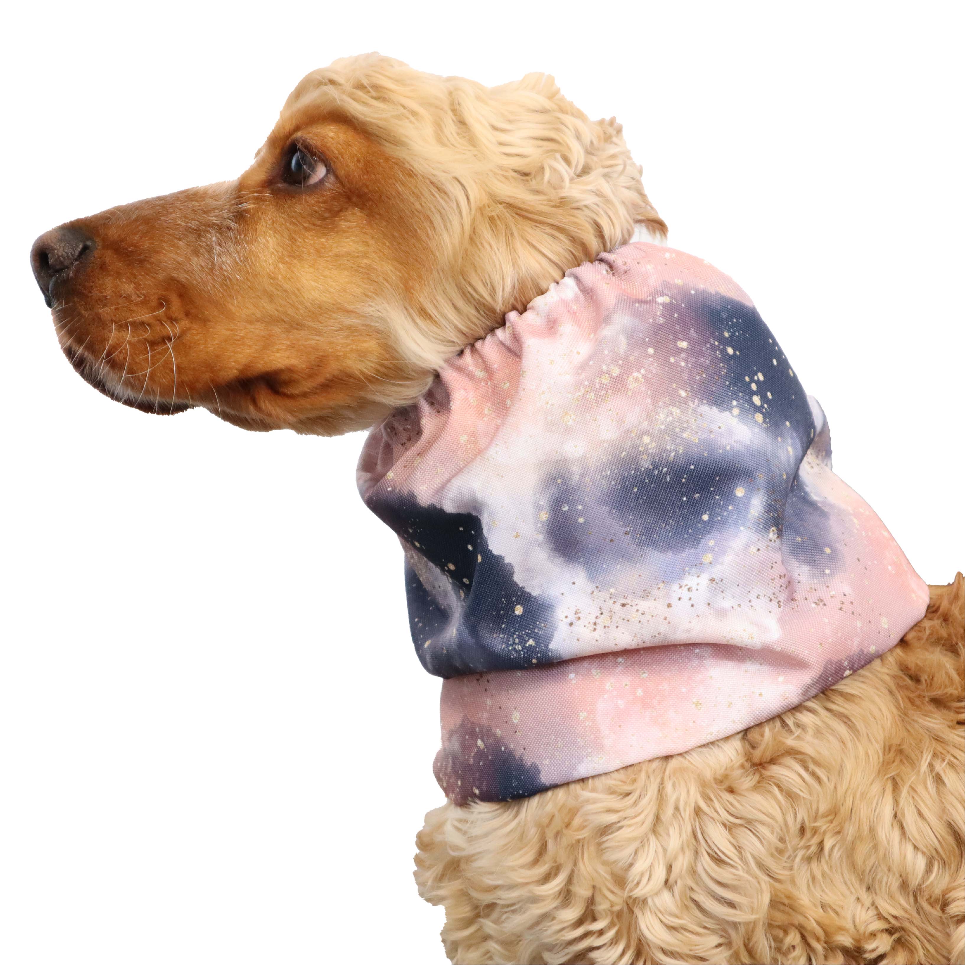 cocker spaniel ear snood Enchanted night Distinguish Me