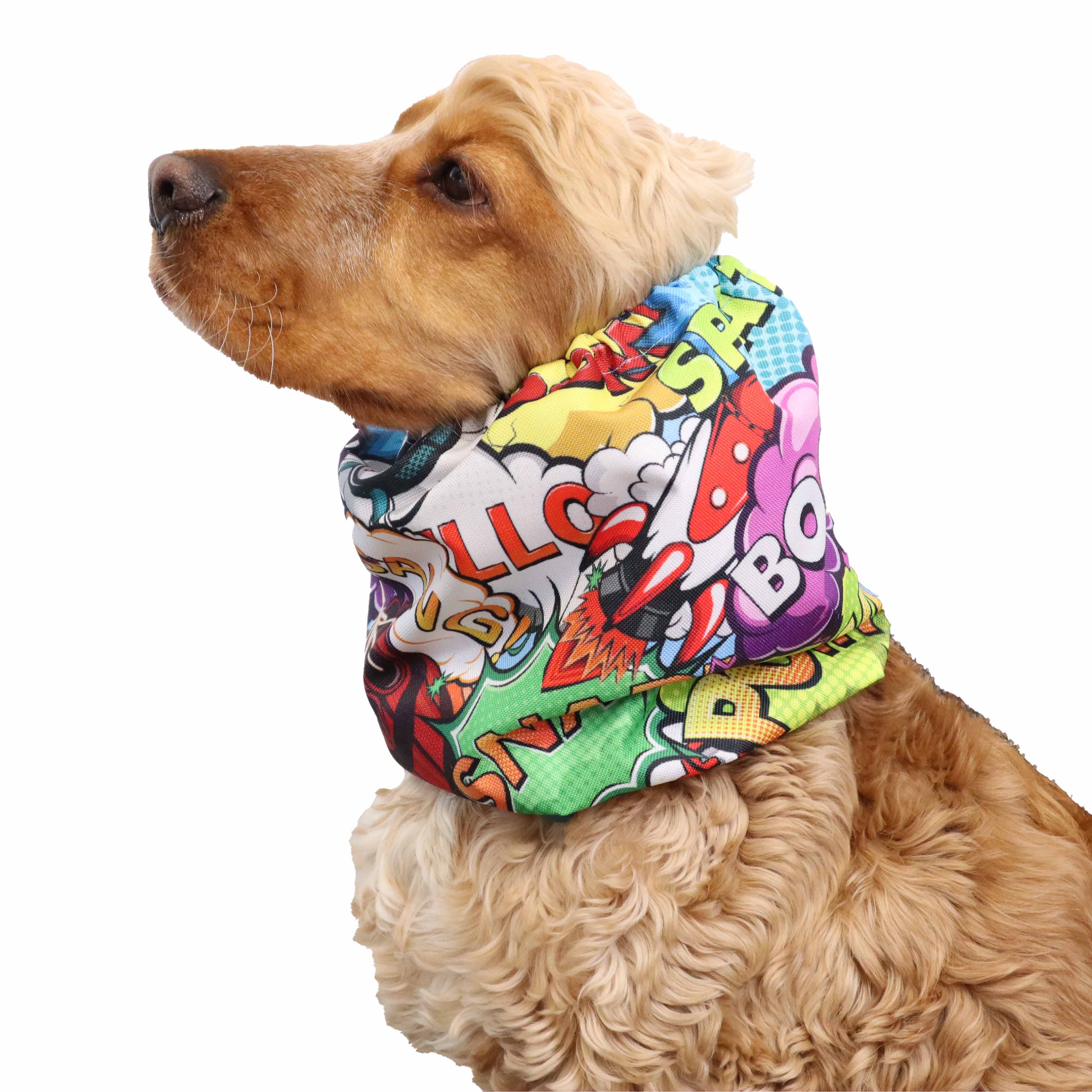 dog snood for eating BOOM Distinguish Me