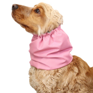 dog snood for eating Pastel Pink Distinguish Me