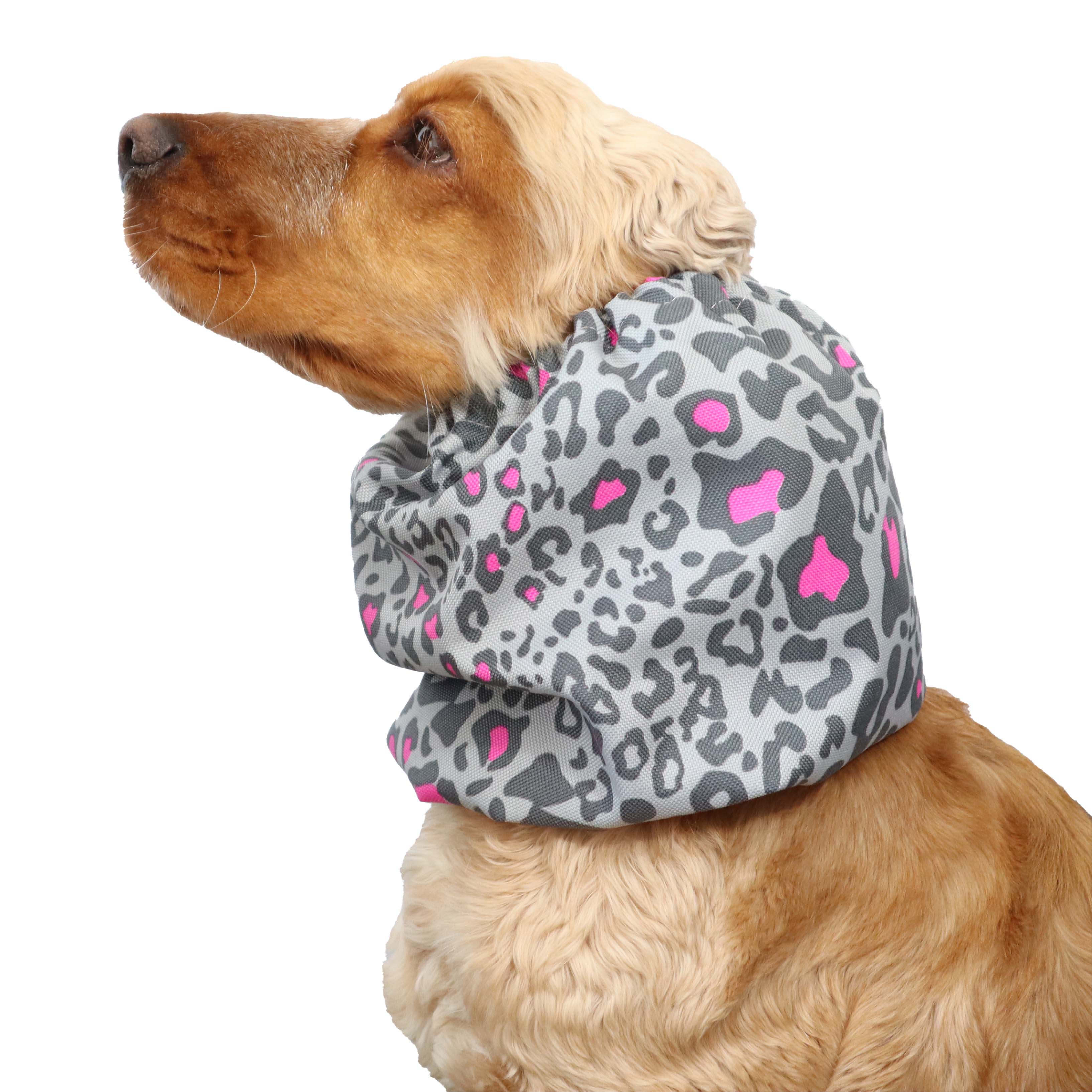 great dane snood Cheetah Distinguish Me