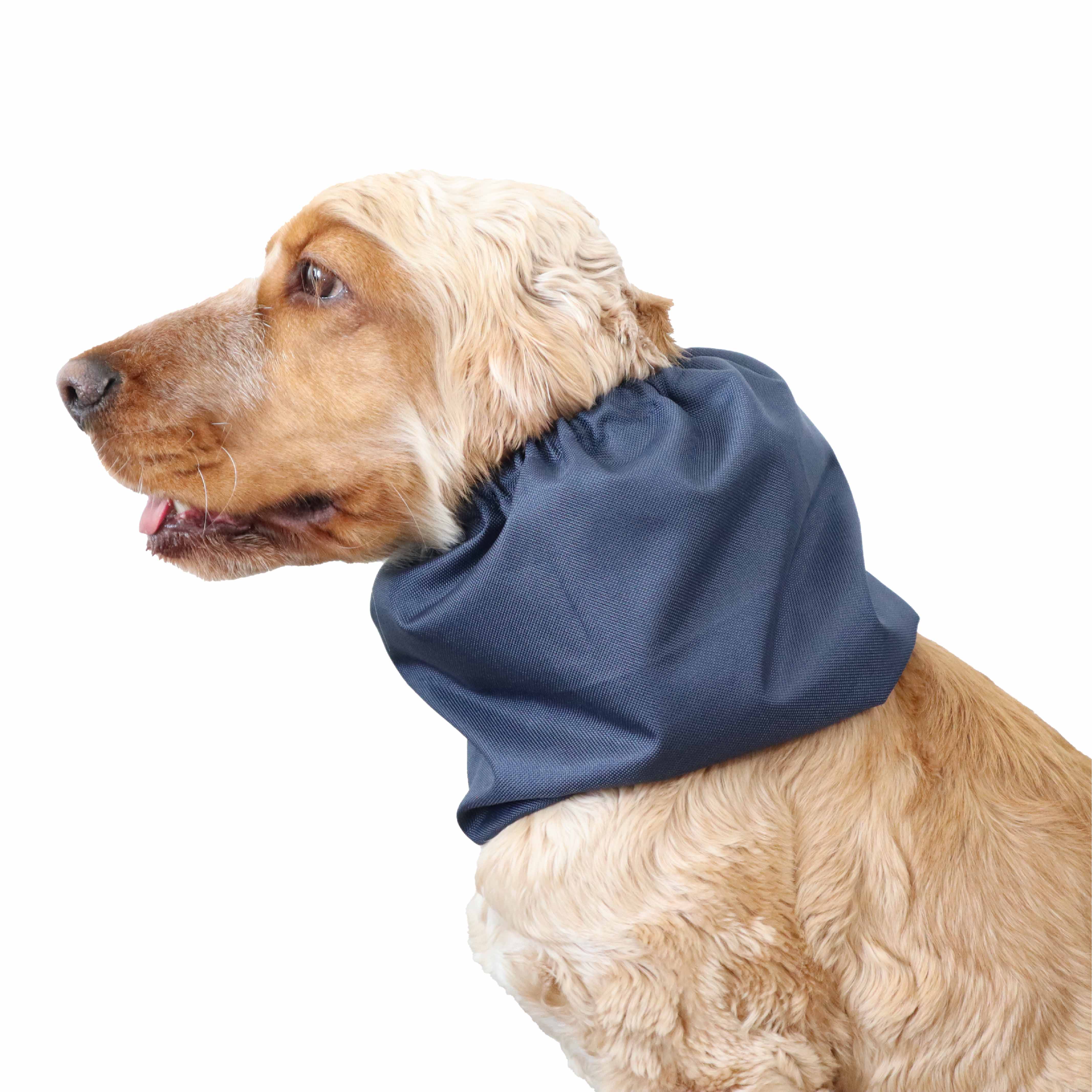 navy blue dog snood Distinguish Me