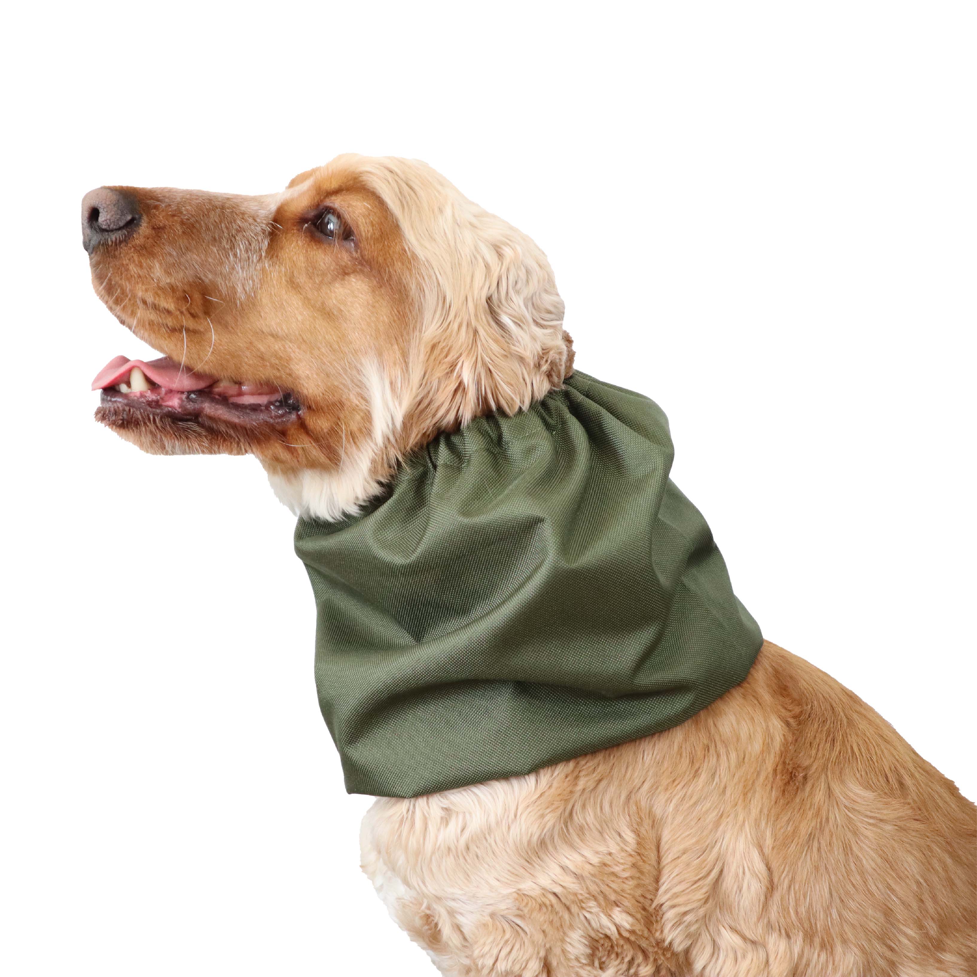 Olive Green Dog Snood by Distinguish Me