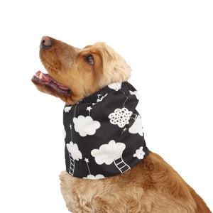 Snood For Dog Clouds Distinguish Me