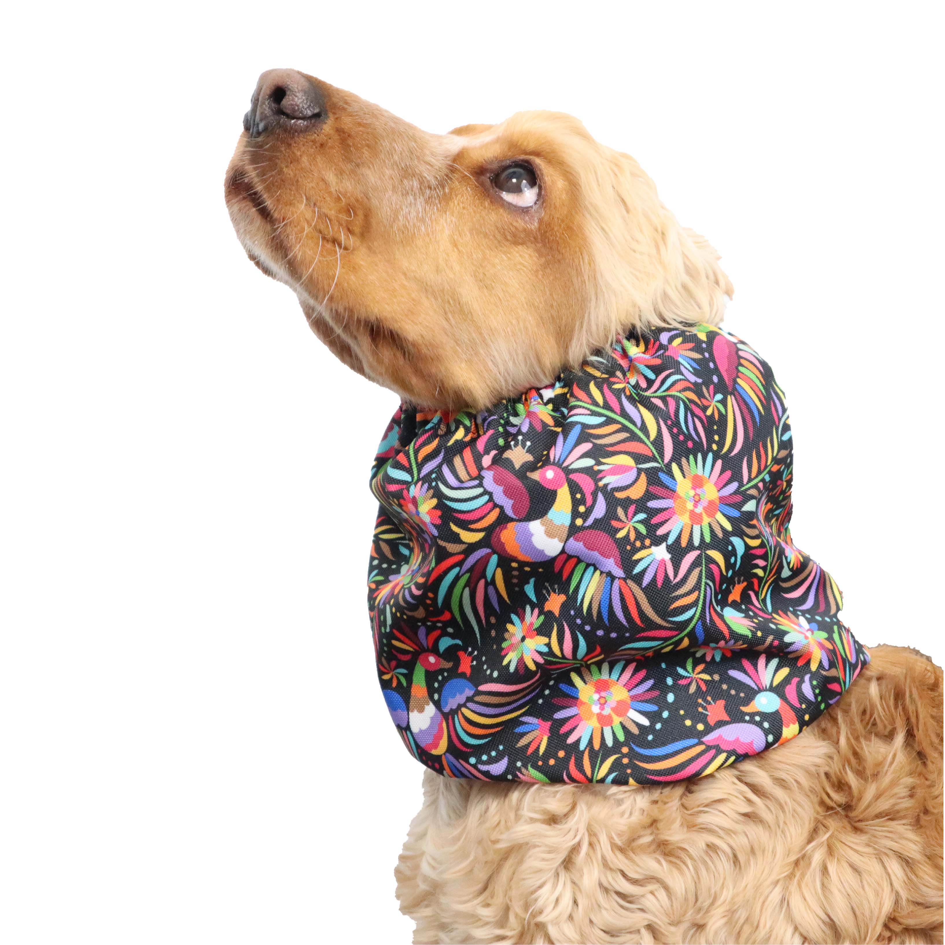 Dog Snood by Distinguish Me