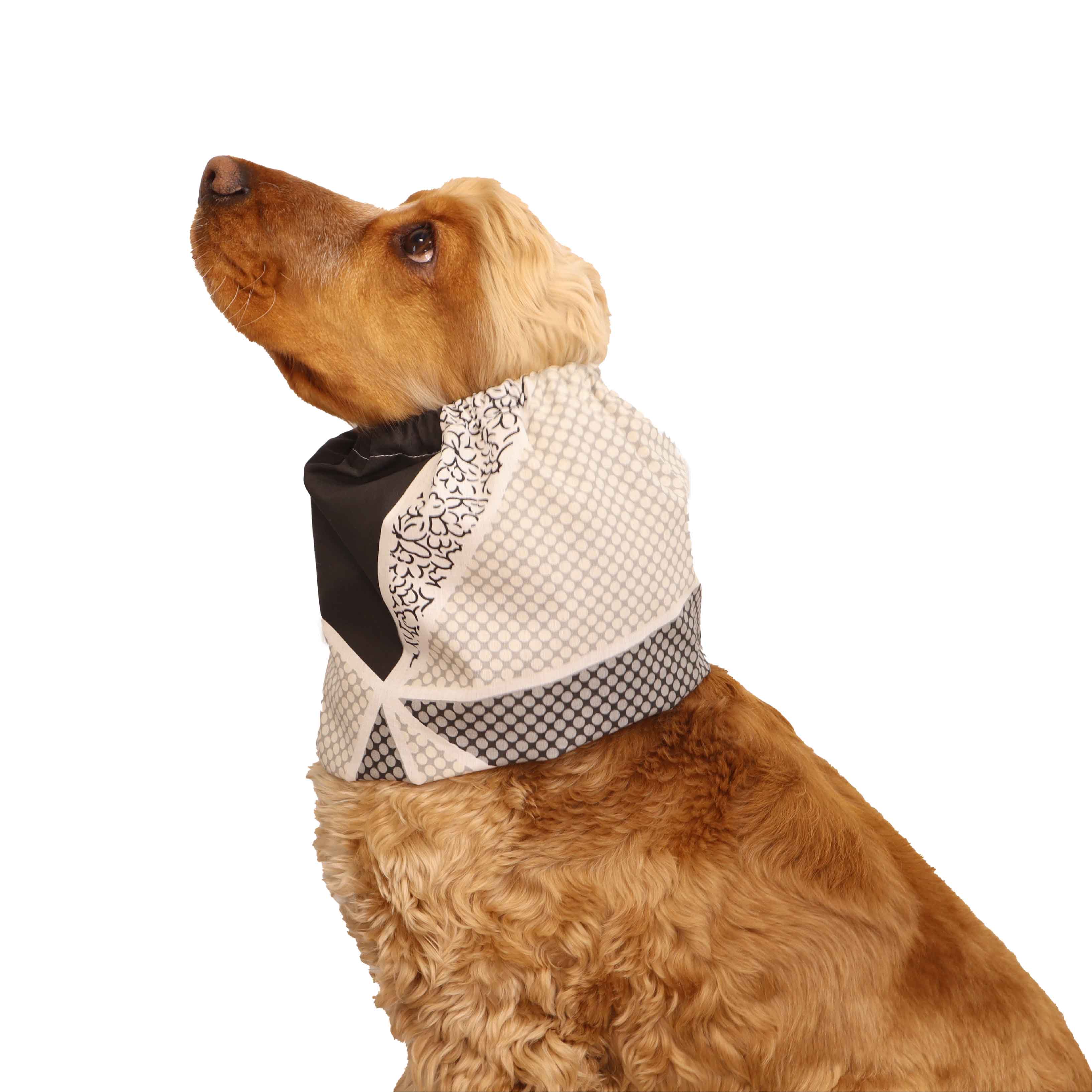 Spaniel Snood for eating Distinguish Me