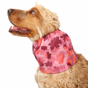Waterproof dog snood Pink Distinguish Me