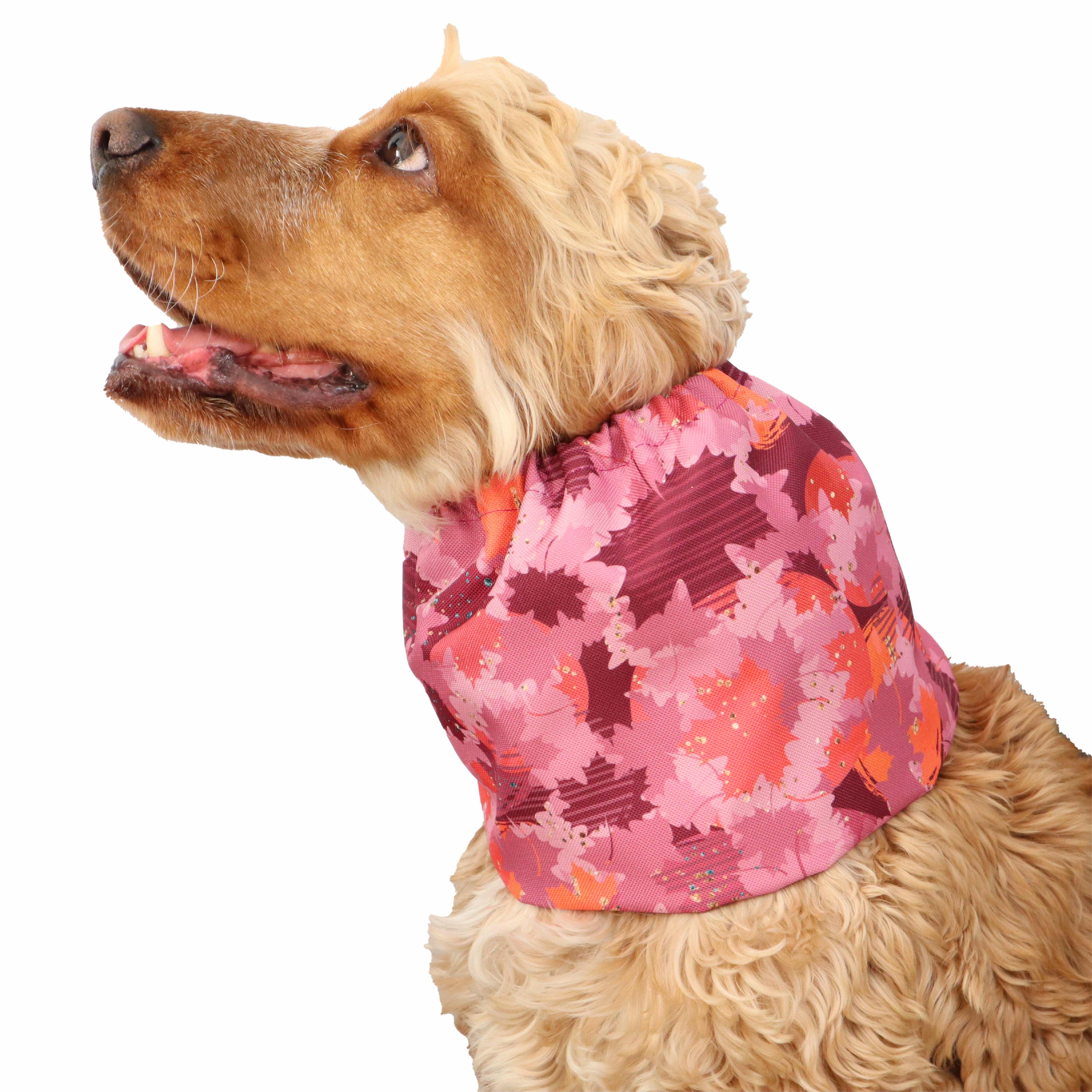 Waterproof dog snood Pink Distinguish Me